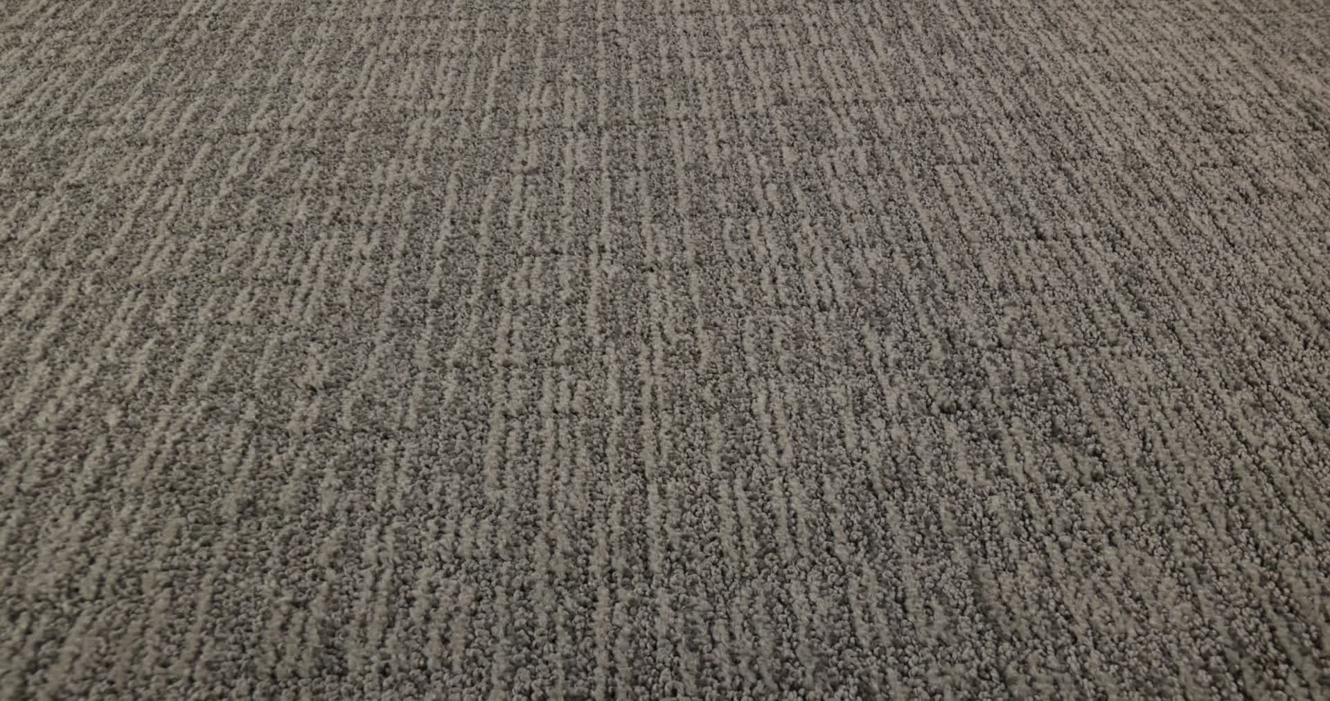 WANDERER SHARKSKIN 360PROD