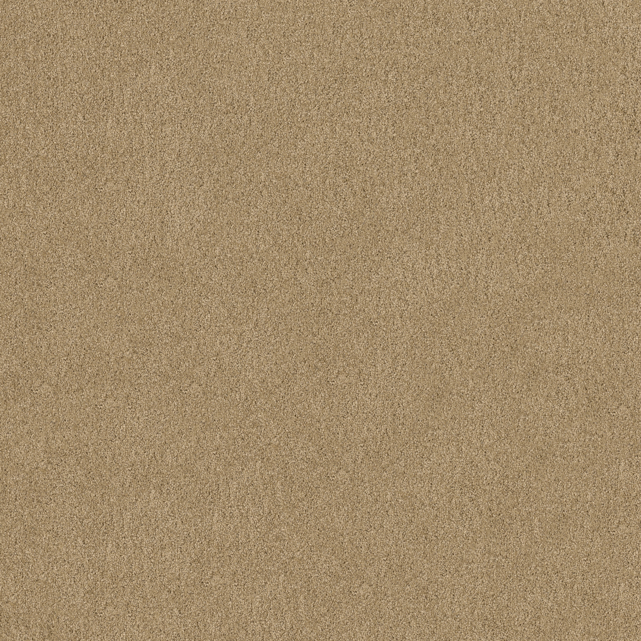 SERENDIPITY I MACADAMIA MAIN