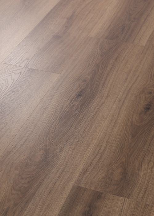 Coffee Oak