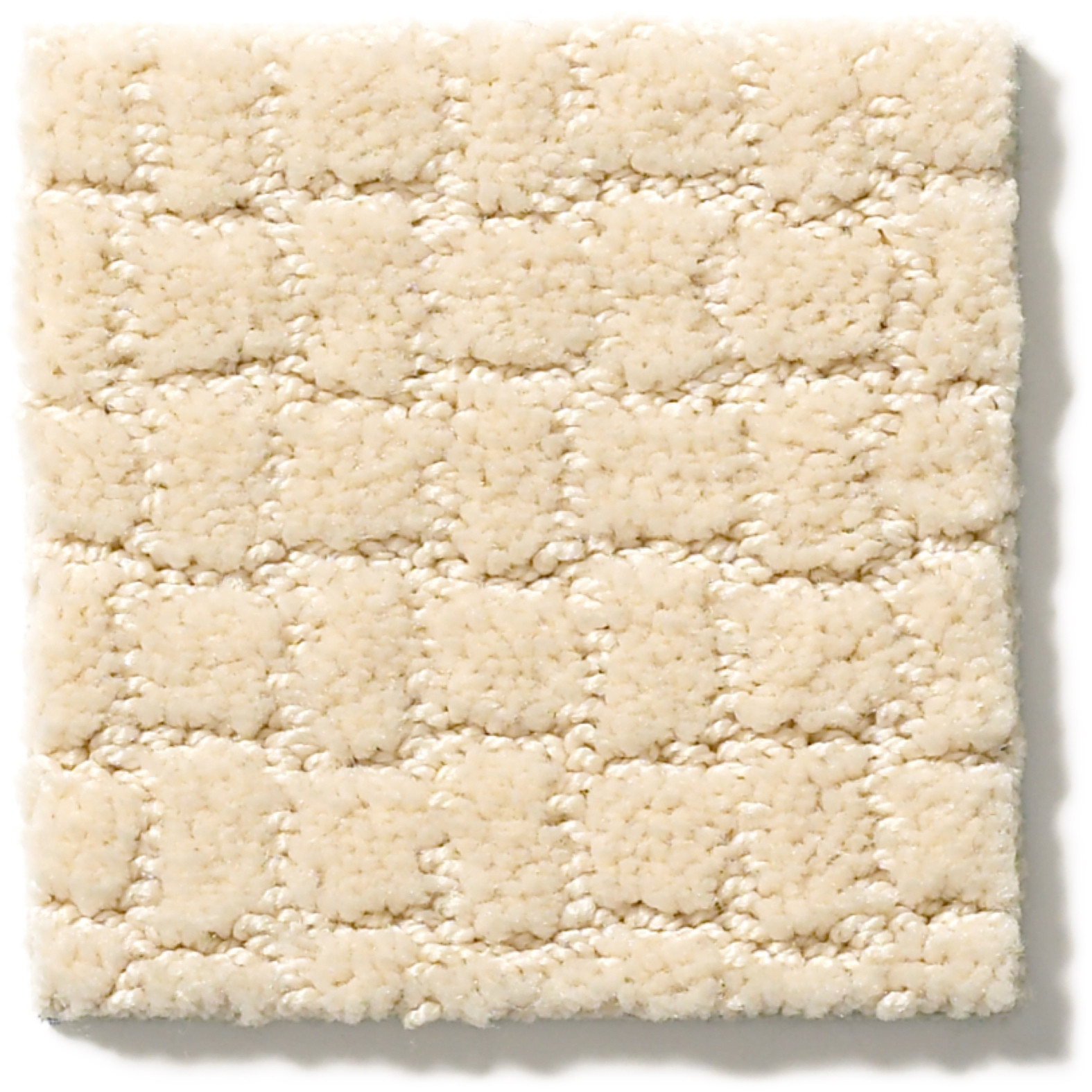 PAWSTRUCK ANTIQUITY SWATCH