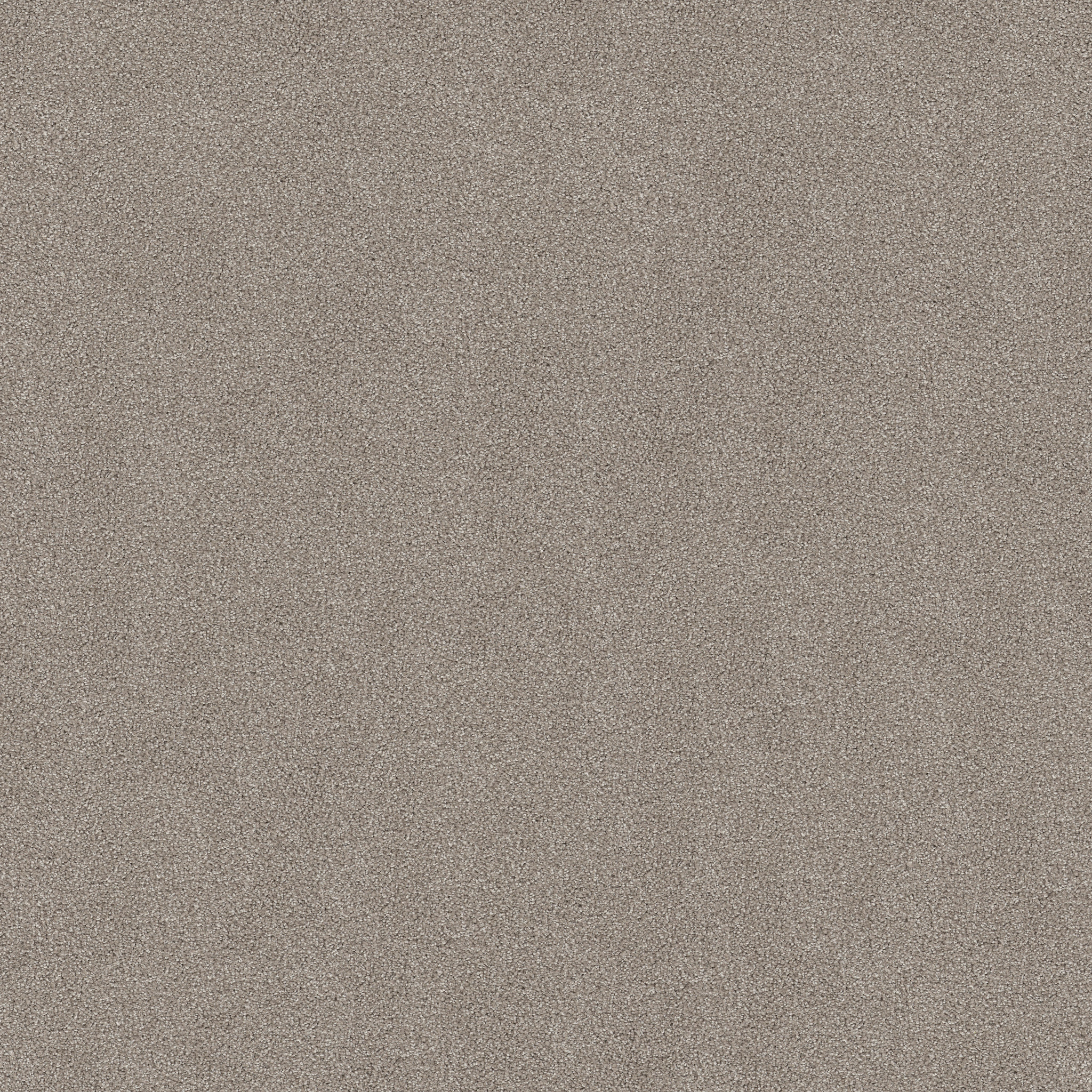 MAJORITY RULES FROSTED ICE MAIN