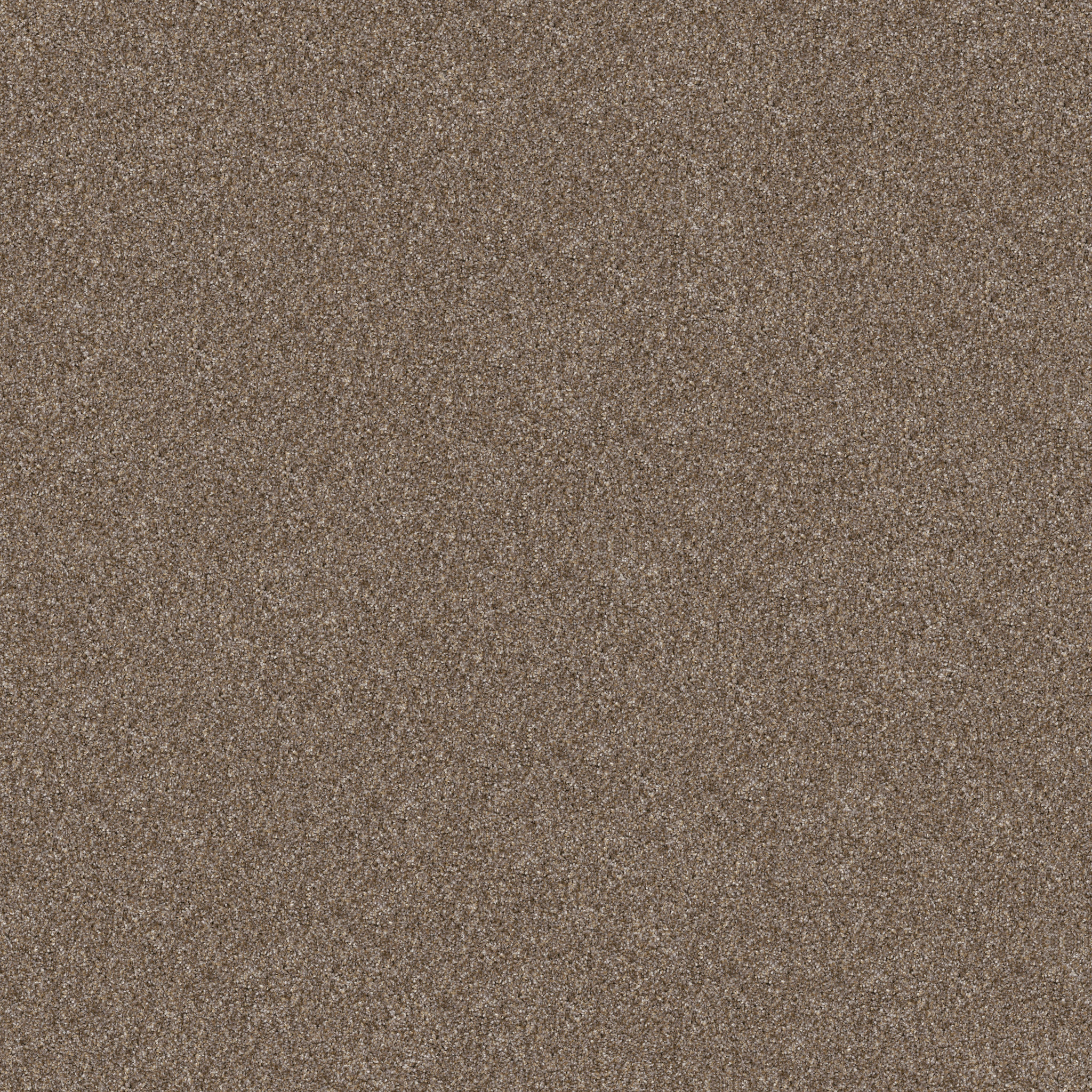 YES YOU CAN III 12' HONEYCOMB MAIN