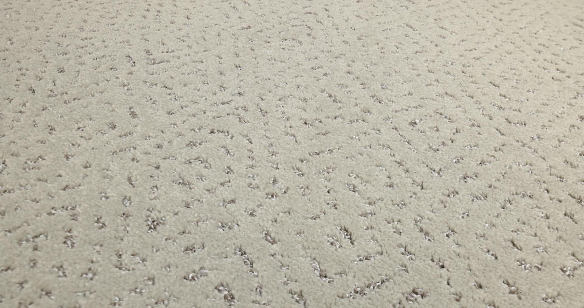 ELABORATE ARTIFACT CHIC GREIGE 360PROD