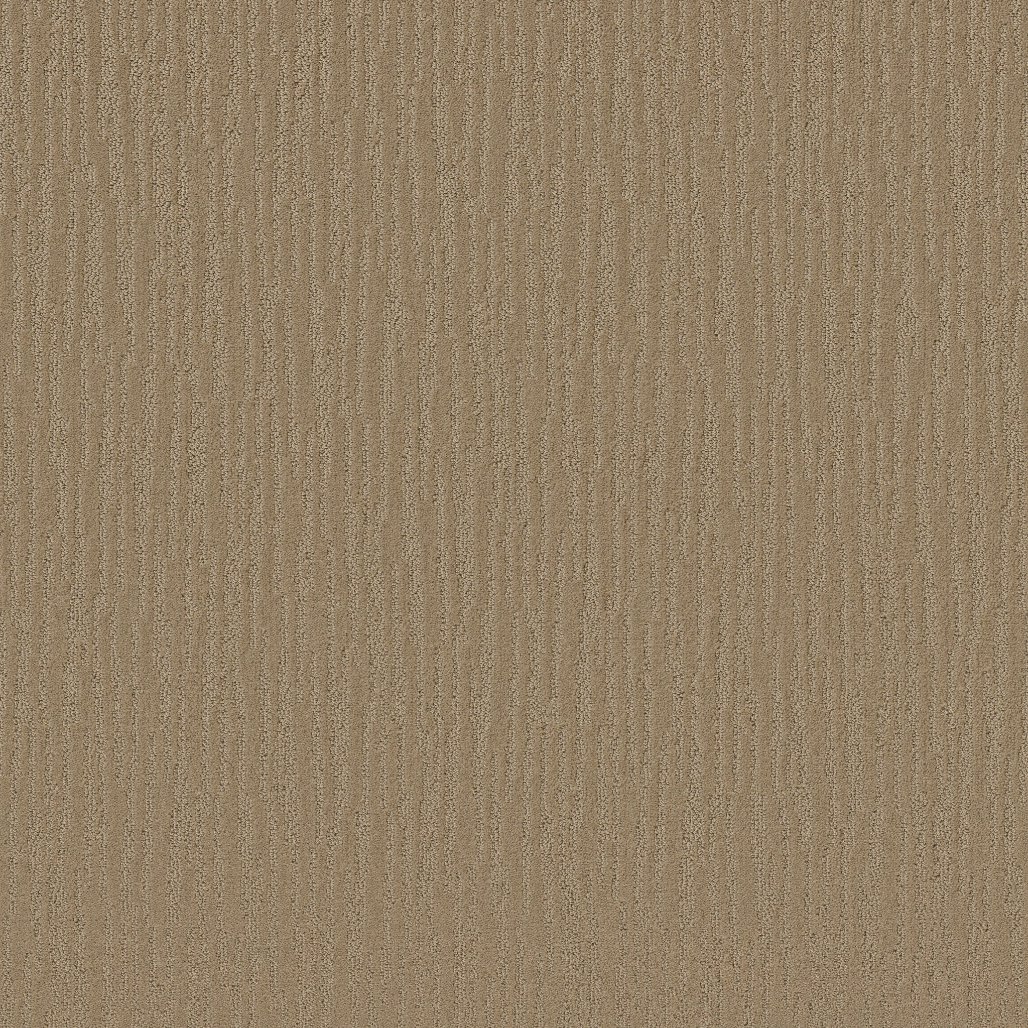 CORAL CANYON SABLE MAIN