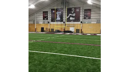 Artificial Turf in Indoor Sports Facility with Sports Banners Indoor sports facility with artificial turf and sports banners