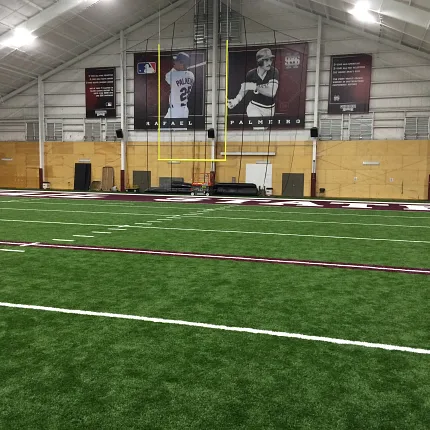 Artificial Turf in Indoor Sports Facility with Sports Banners Indoor sports facility with artificial turf and sports banners