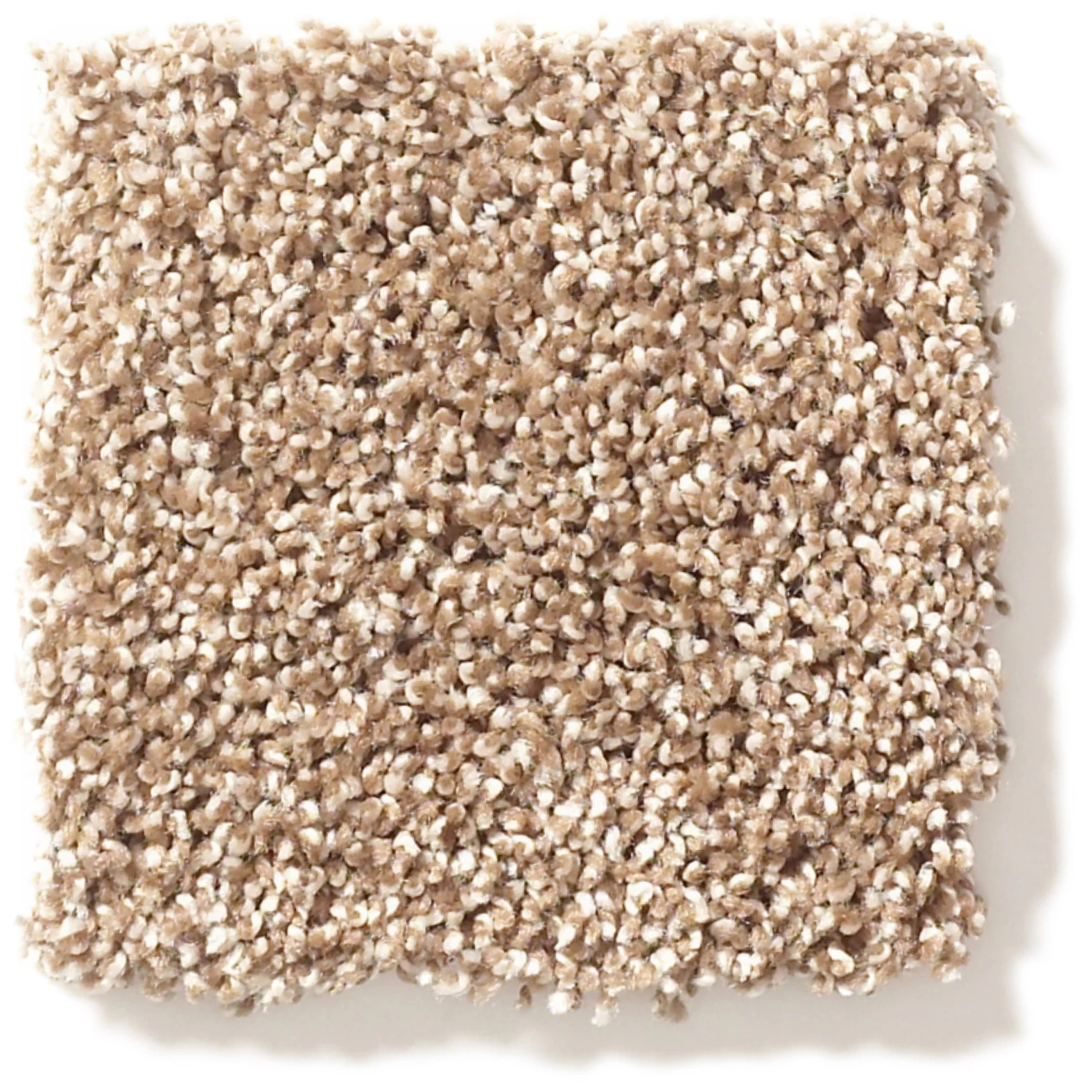 OCEAN VIEW CANYON TRAIL SWATCH