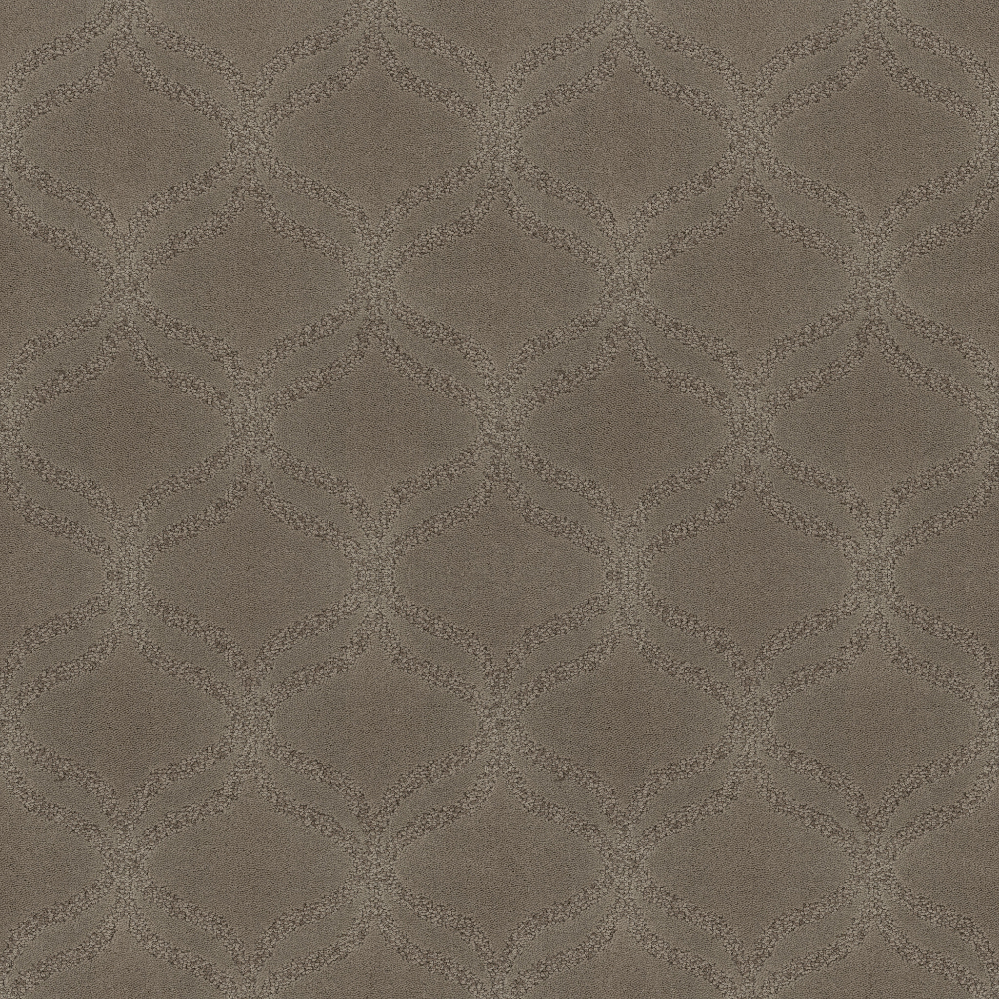 APPRECIATION MISSOULA MAIN