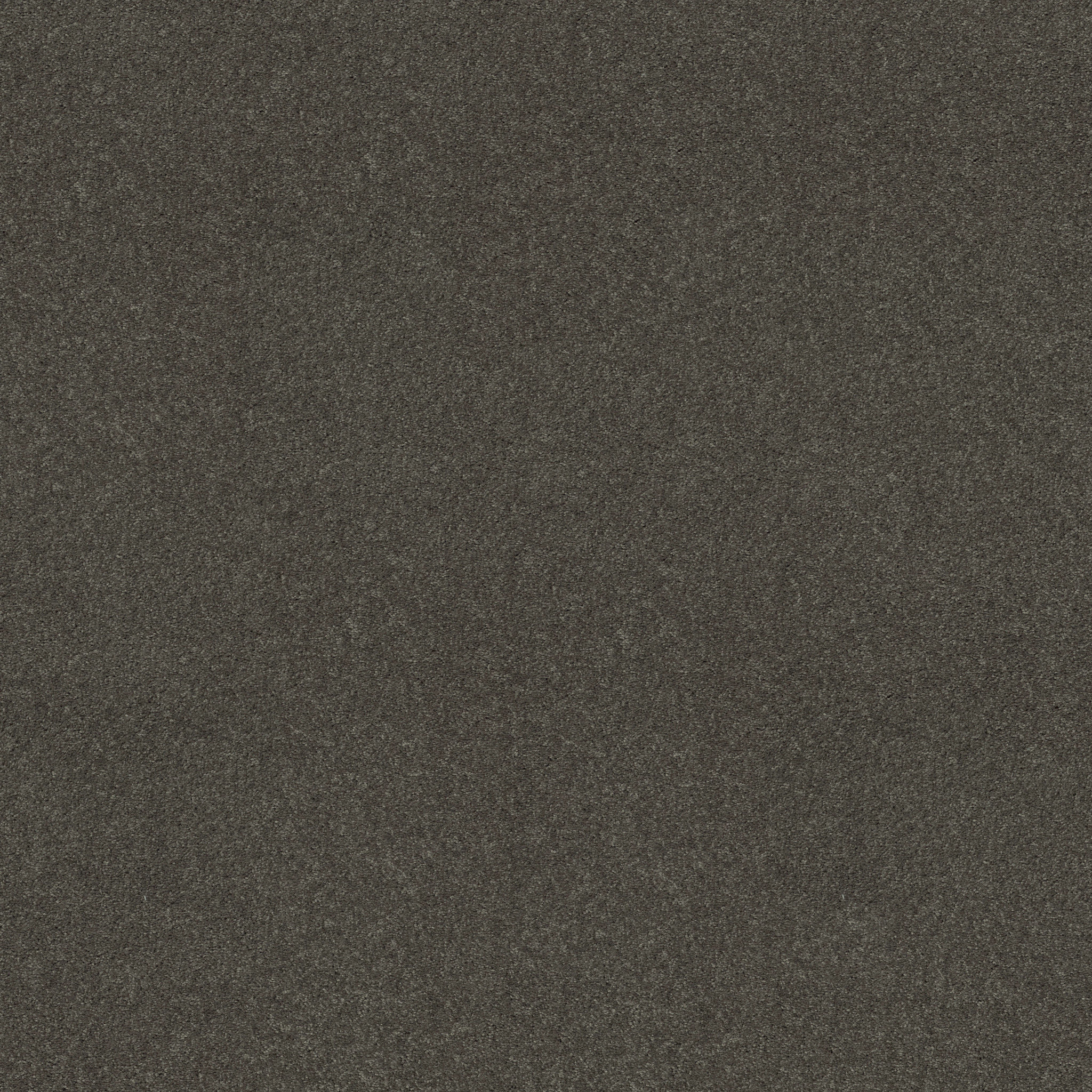 STEP RIGHT UP I 15&#x27; CHARCOAL MAIN