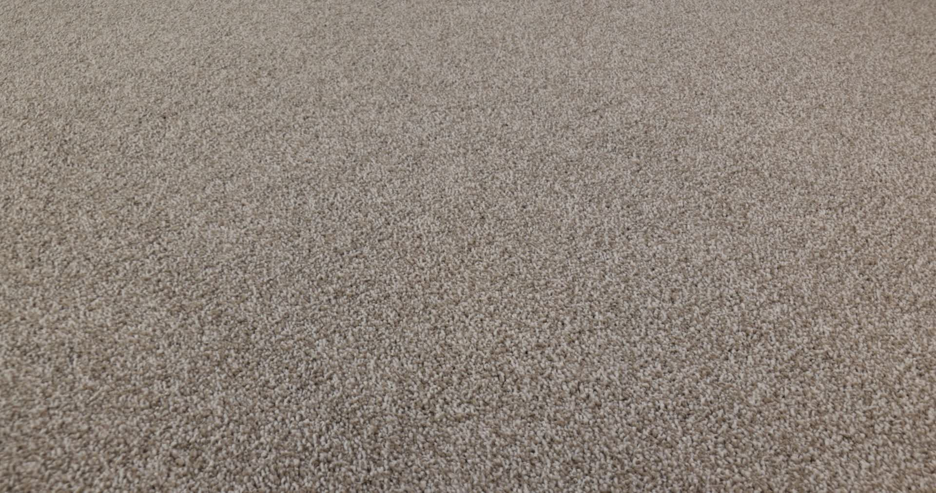 VIVID TOUCH II MOCHA 360PROD