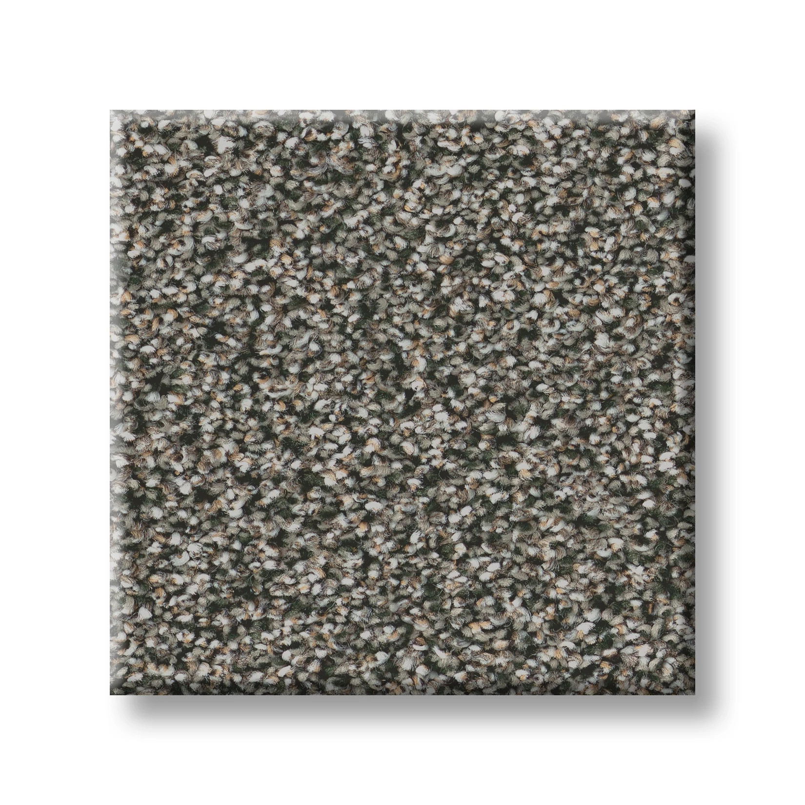 TIMELESS TONE EVERGREEN SWATCH