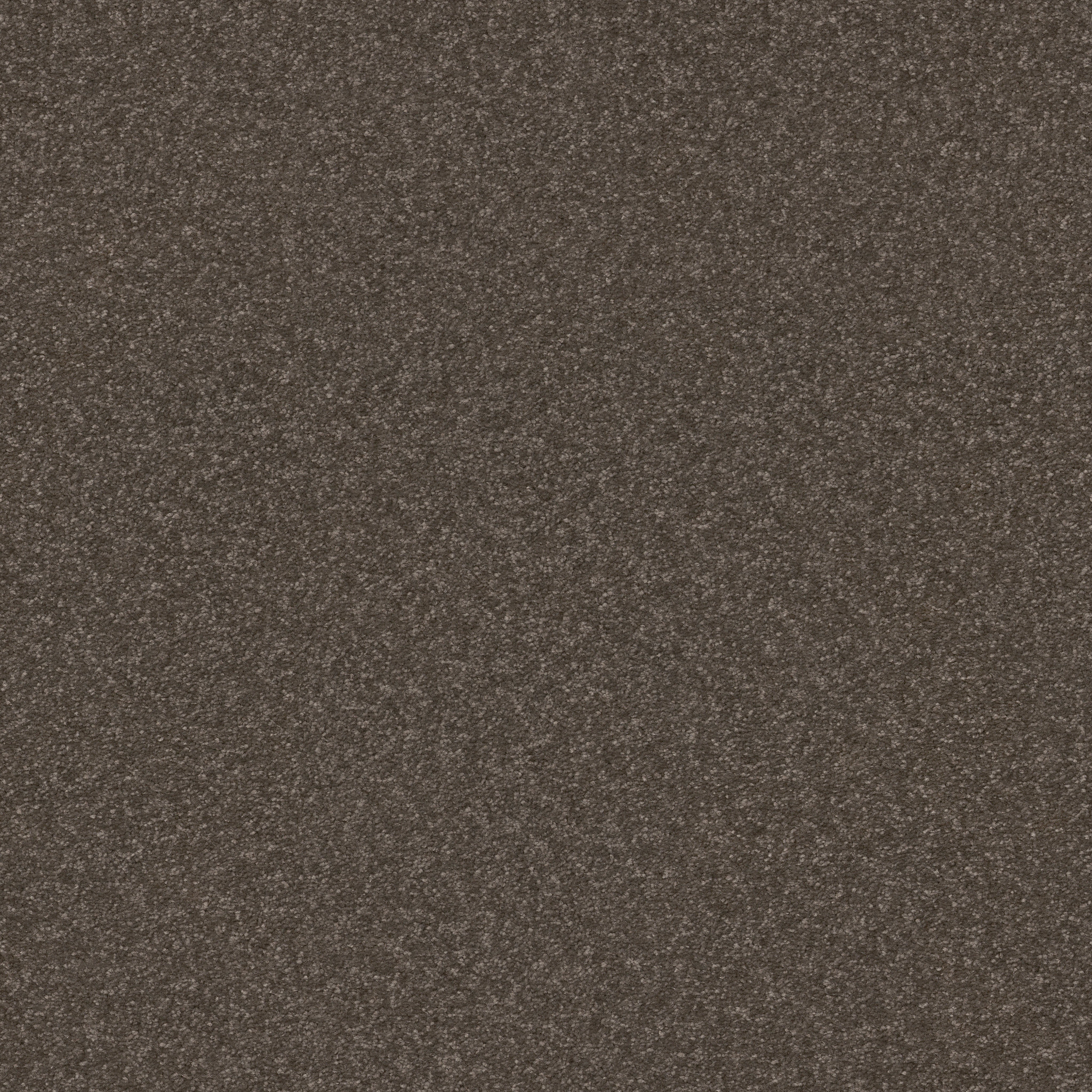 HARD AT PLAY I 15' URBAN RUSTIC MAIN