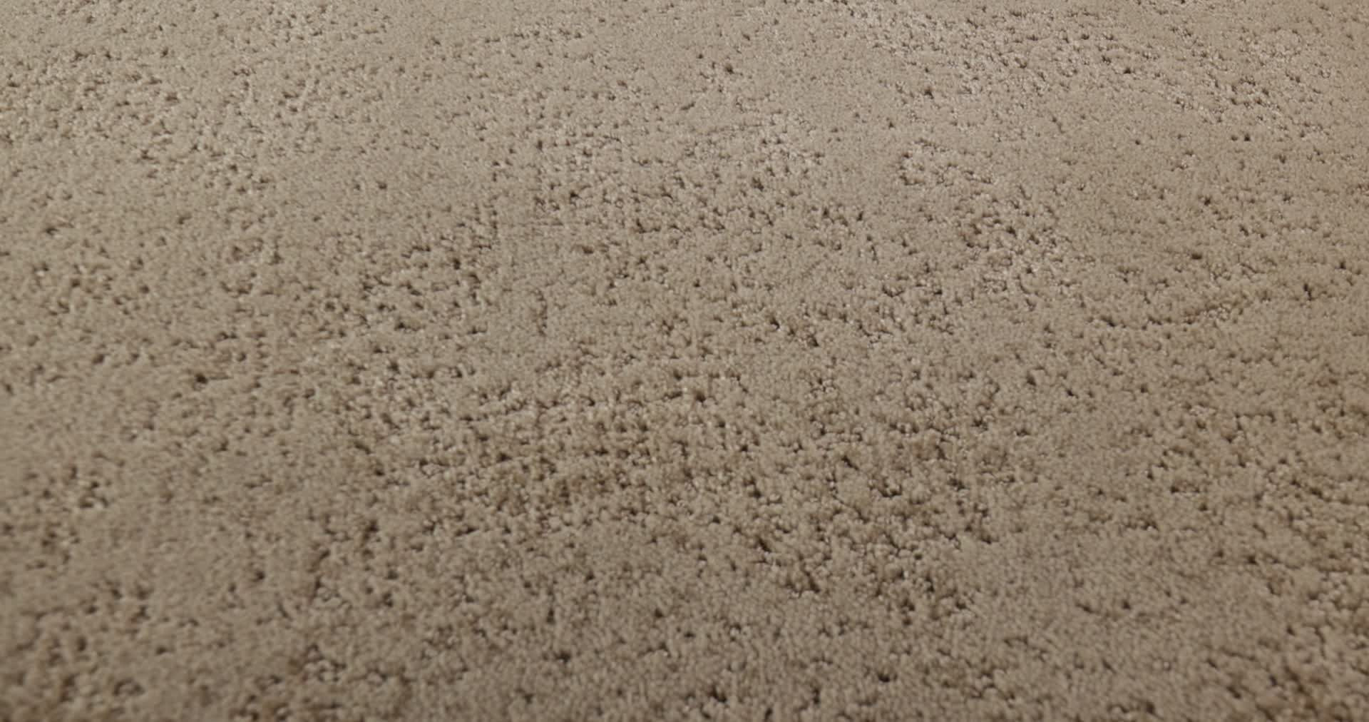 ARTISTIC PRESENCE TUMBLEWEED 360PROD