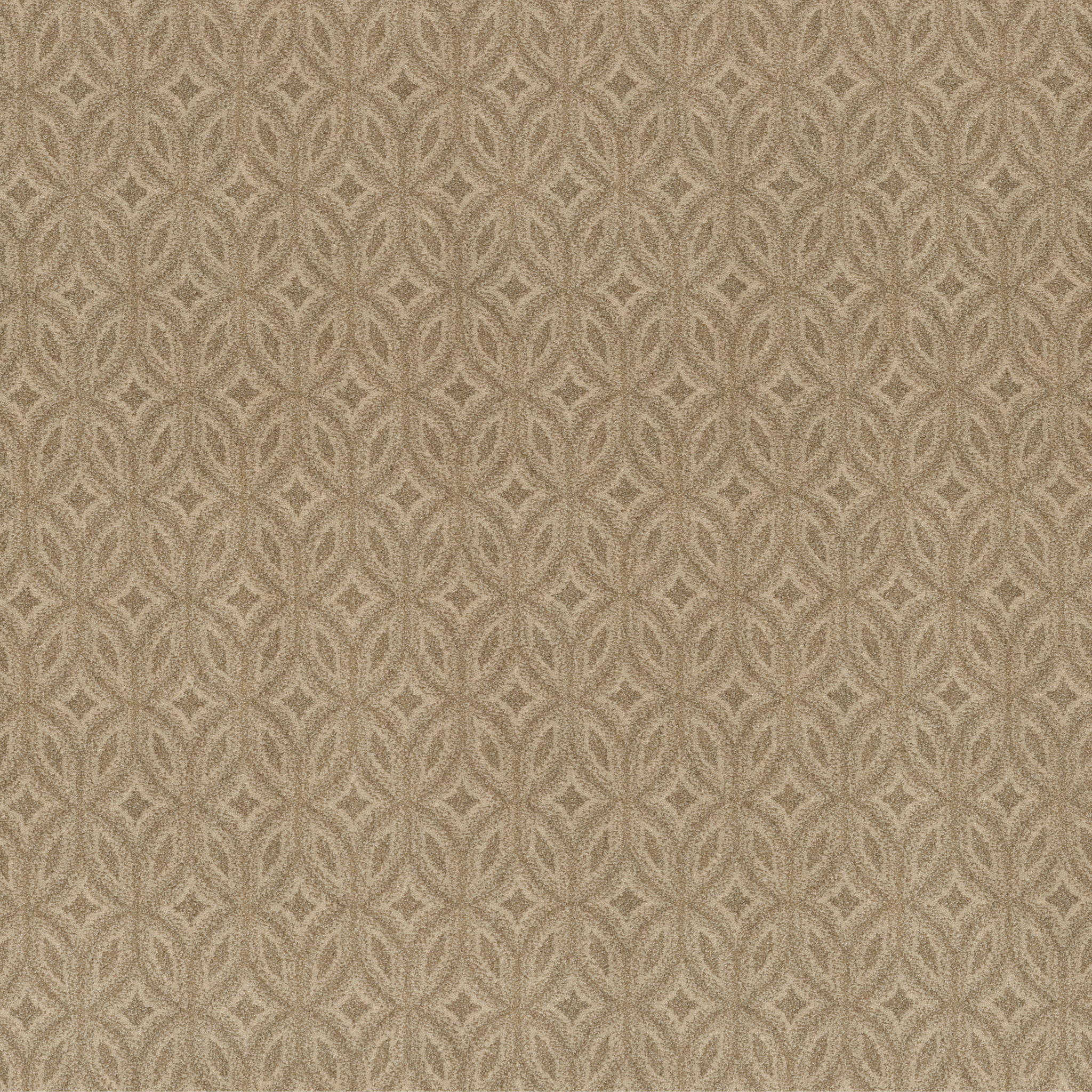 ENLIGHTENED BEACH GRASS MAIN