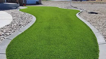 Low-maintenance synthetic turf for home landscapes Artificial grass lawn in residential front yard