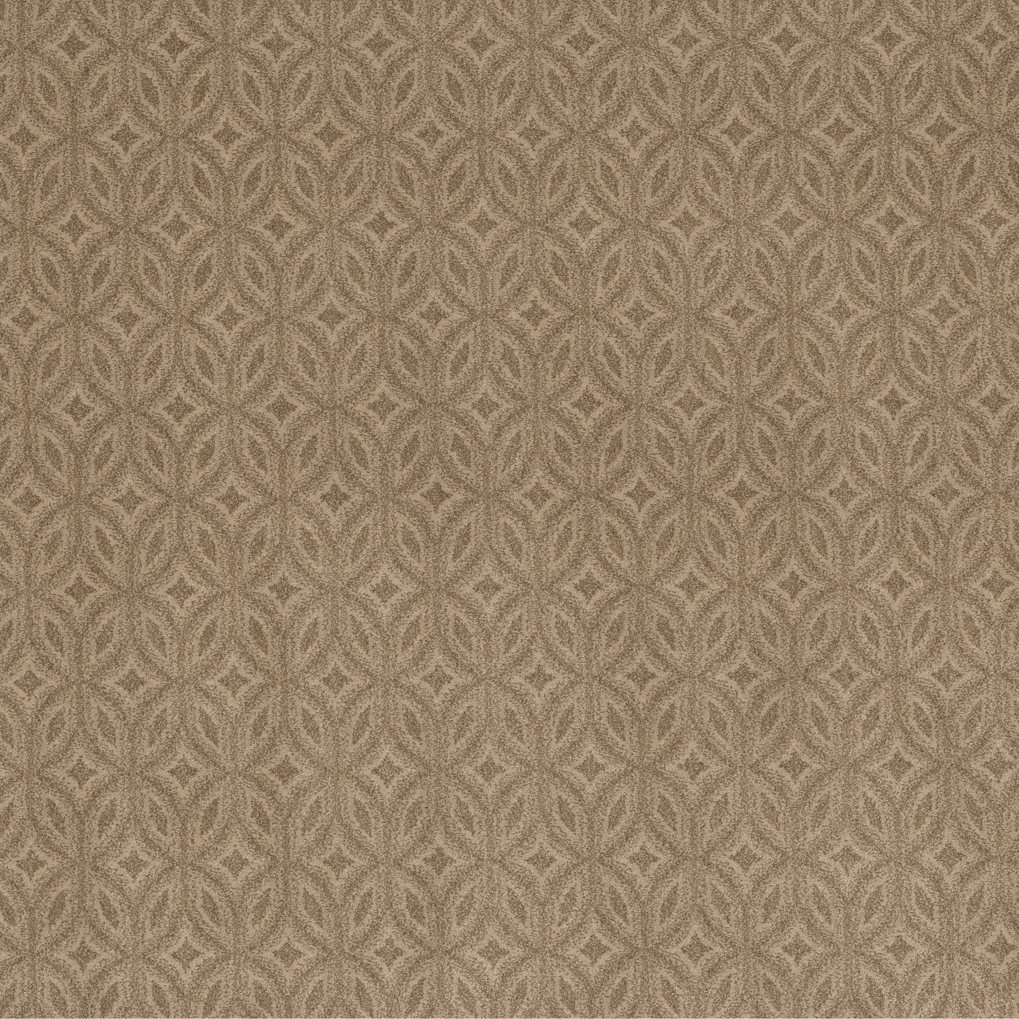 ENLIGHTENED WINDSWEPT MAIN