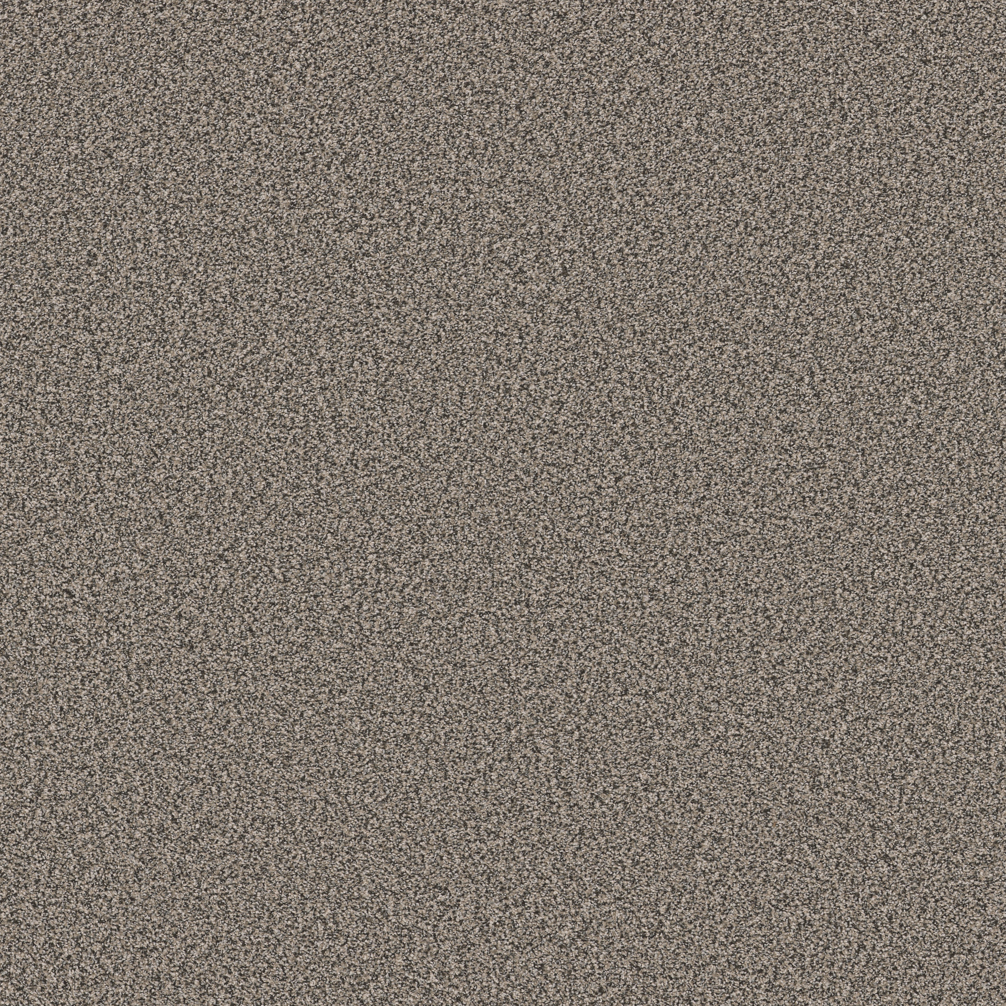 TWEED COMFORT I POP STAR MAIN