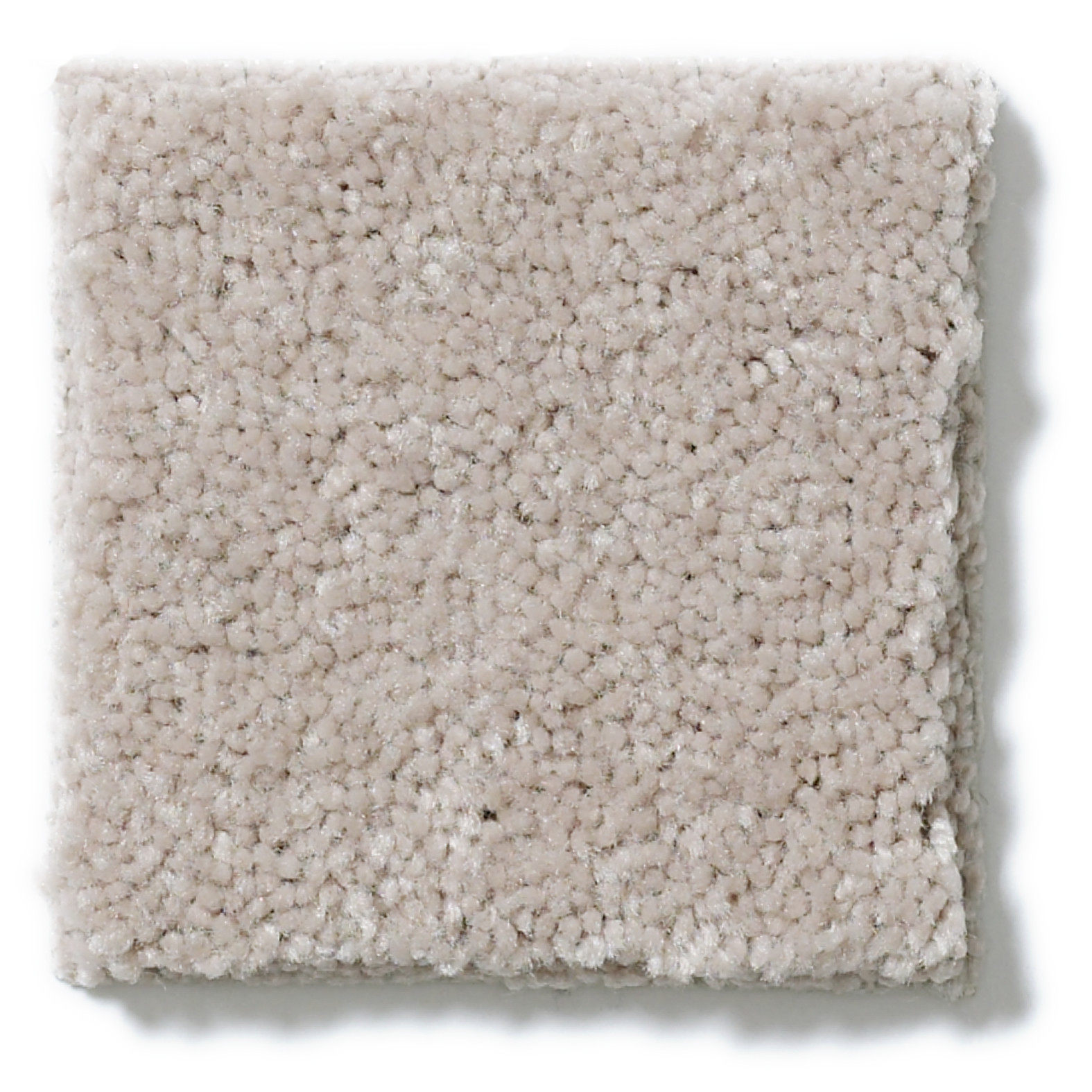 CHALLENGE ACCEPTED I 12' ALMOND BARK SWATCH