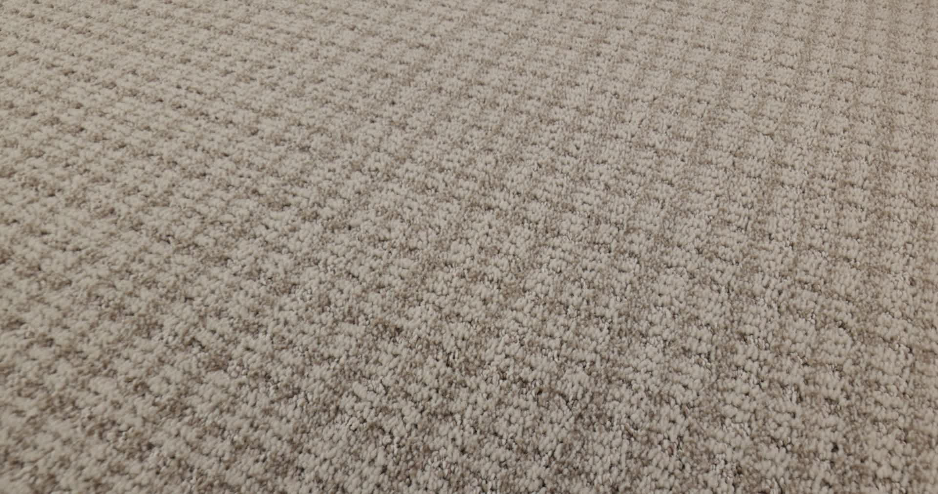 RADIANCE MUSHROOM 360PROD