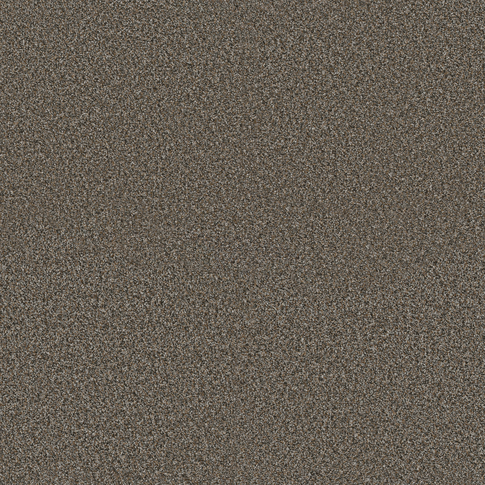 ARTISTIC FUSION I CAFE NOIR MAIN