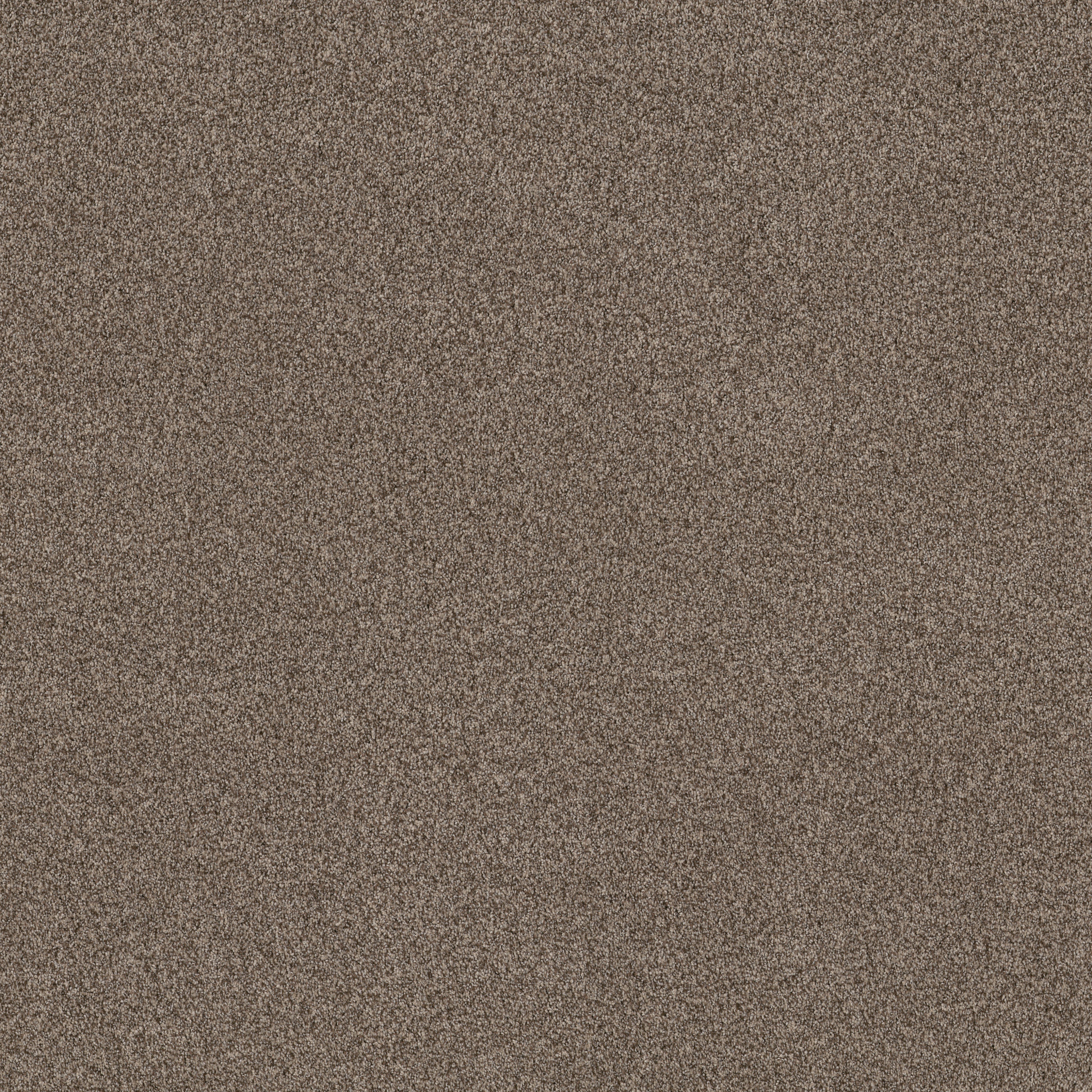 TERRA NOVA PALM DESERT MAIN