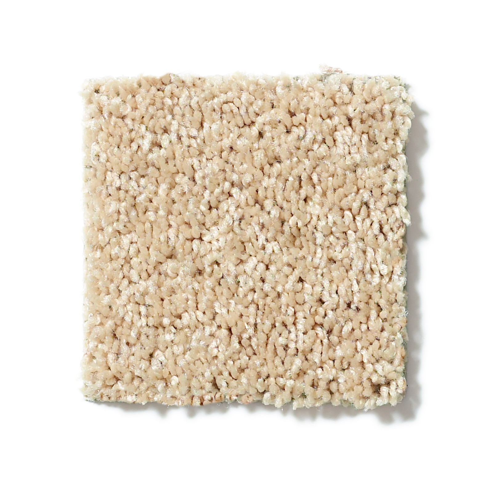 ELLENDALE 15' CRUMPET SWATCH