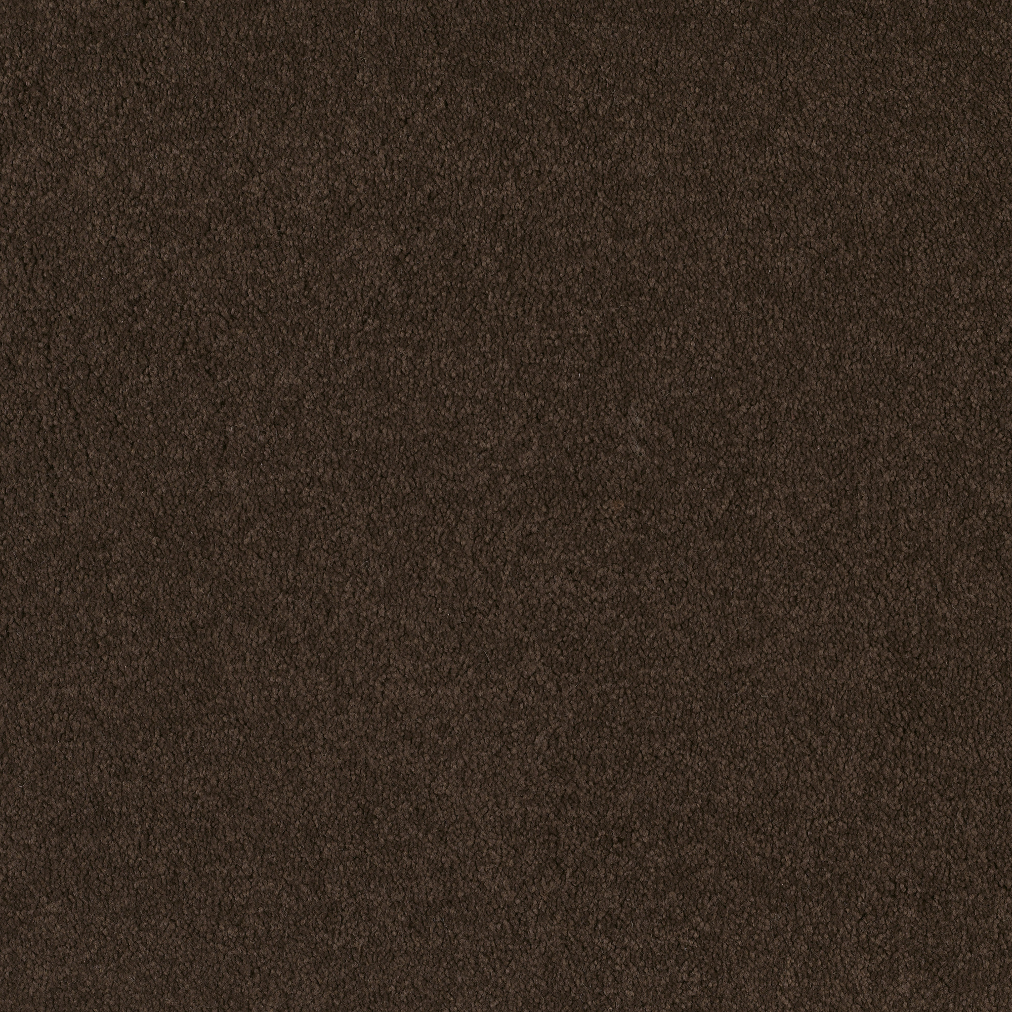 MAGIC AT LAST I 12&#x27; DARK CHOCOLATE MAIN