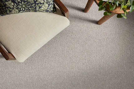 Beige Patterned Carpet for Comfortable Living Room Spaces Cozy living room with beige patterned carpet, wooden chair, and green plant
