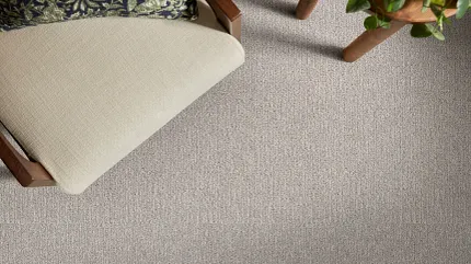 Beige Patterned Carpet for Comfortable Living Room Spaces Cozy living room with beige patterned carpet, wooden chair, and green plant