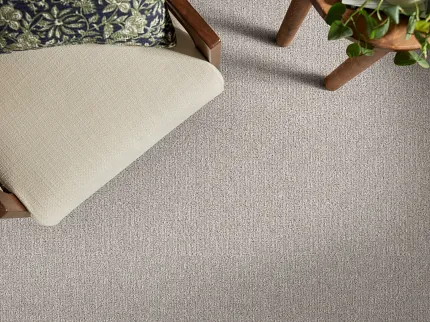 Beige Patterned Carpet for Comfortable Living Room Spaces Cozy living room with beige patterned carpet, wooden chair, and green plant