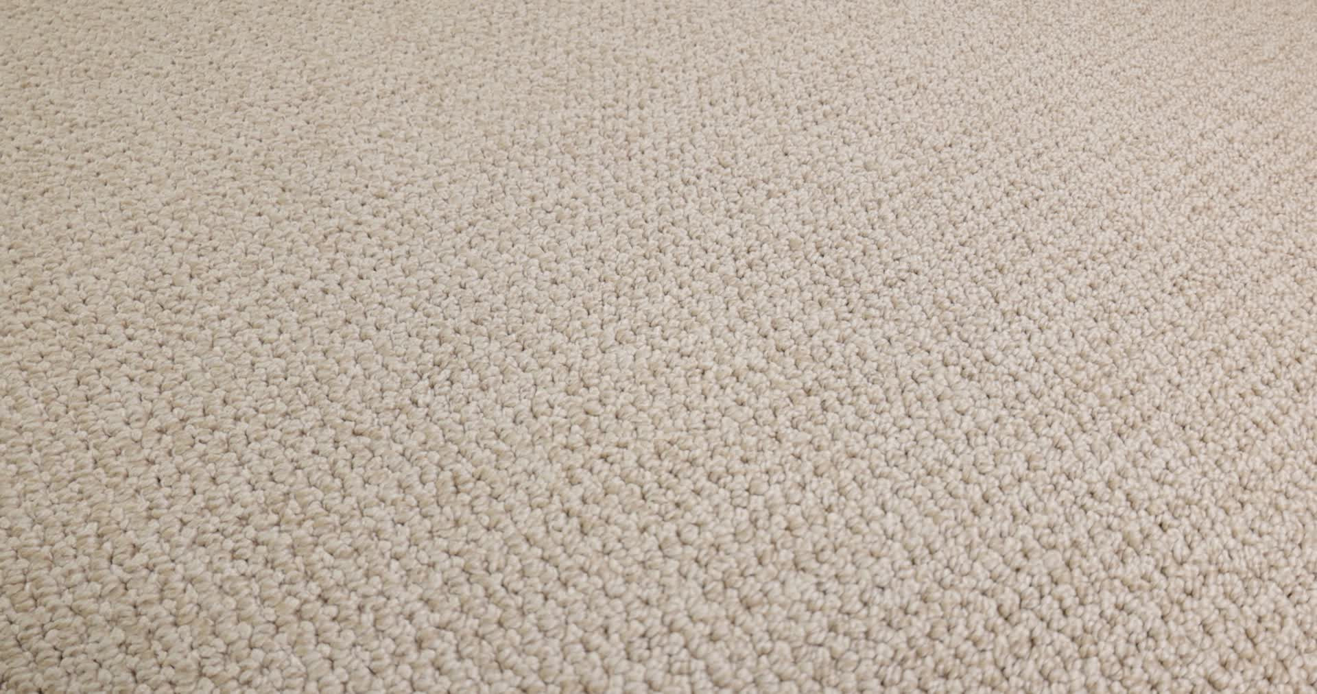 PURRFECTION MATCHSTICK 360PROD