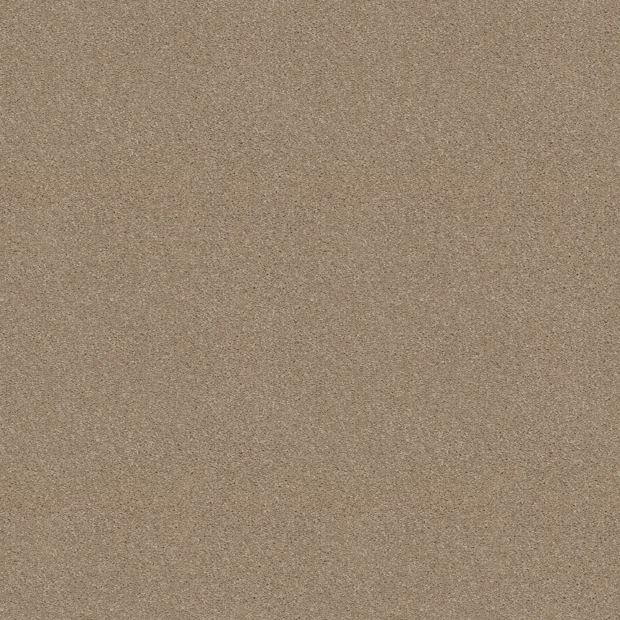 STEP RIGHT UP I 12' ALMOND BARK MAIN