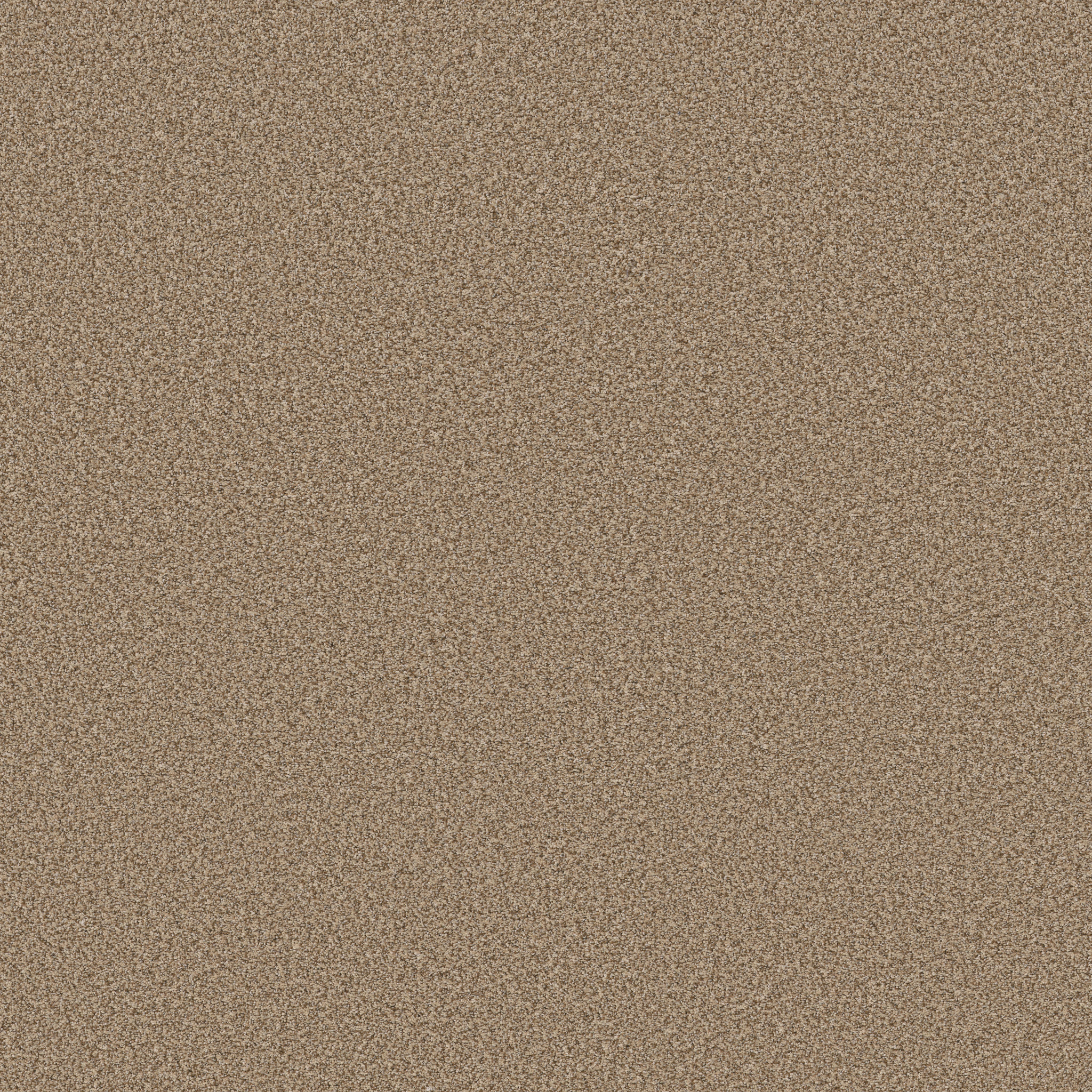 AVALON BAY POWDERED GOLD MAIN