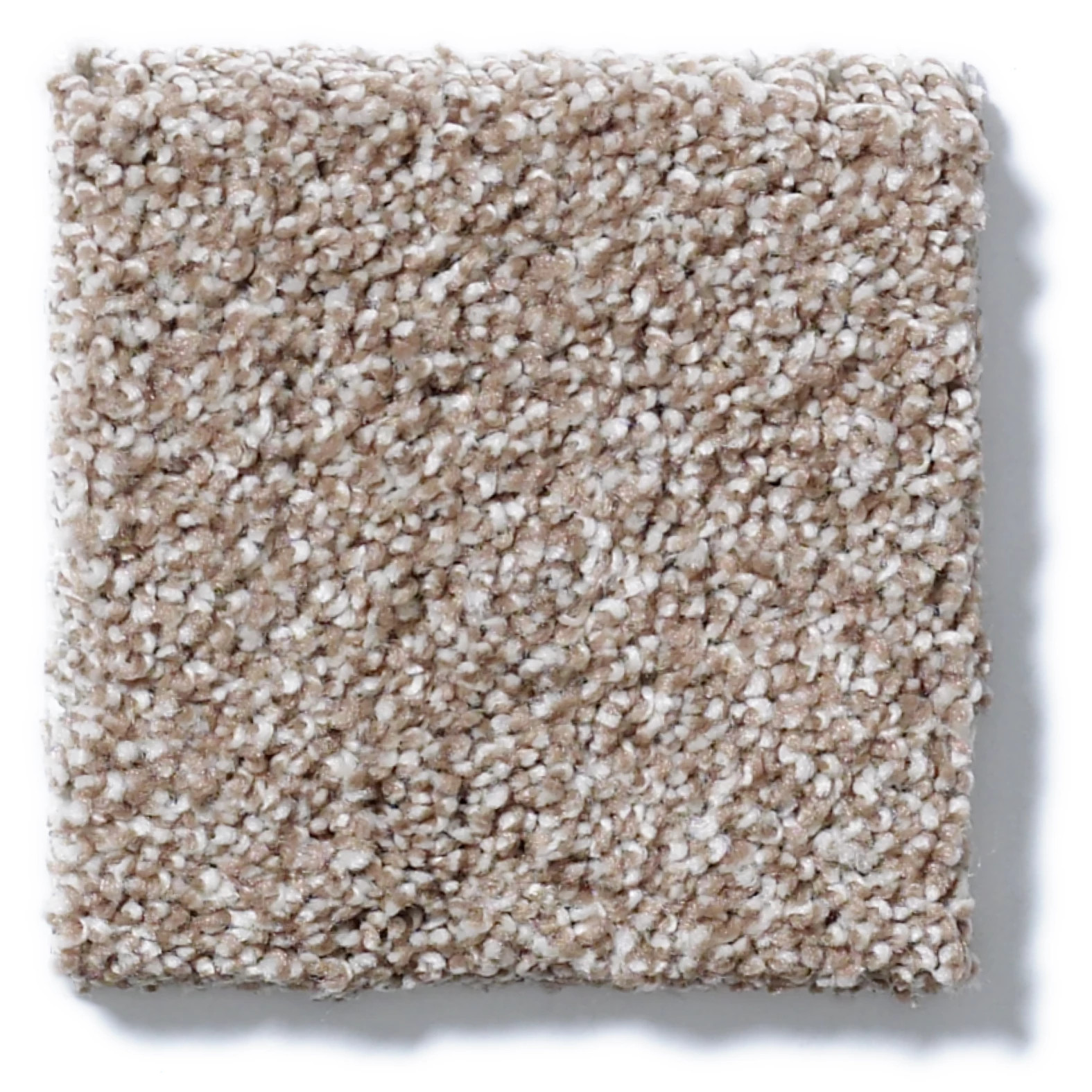 ALWAYS READY I SUMMERVILLE SWATCH