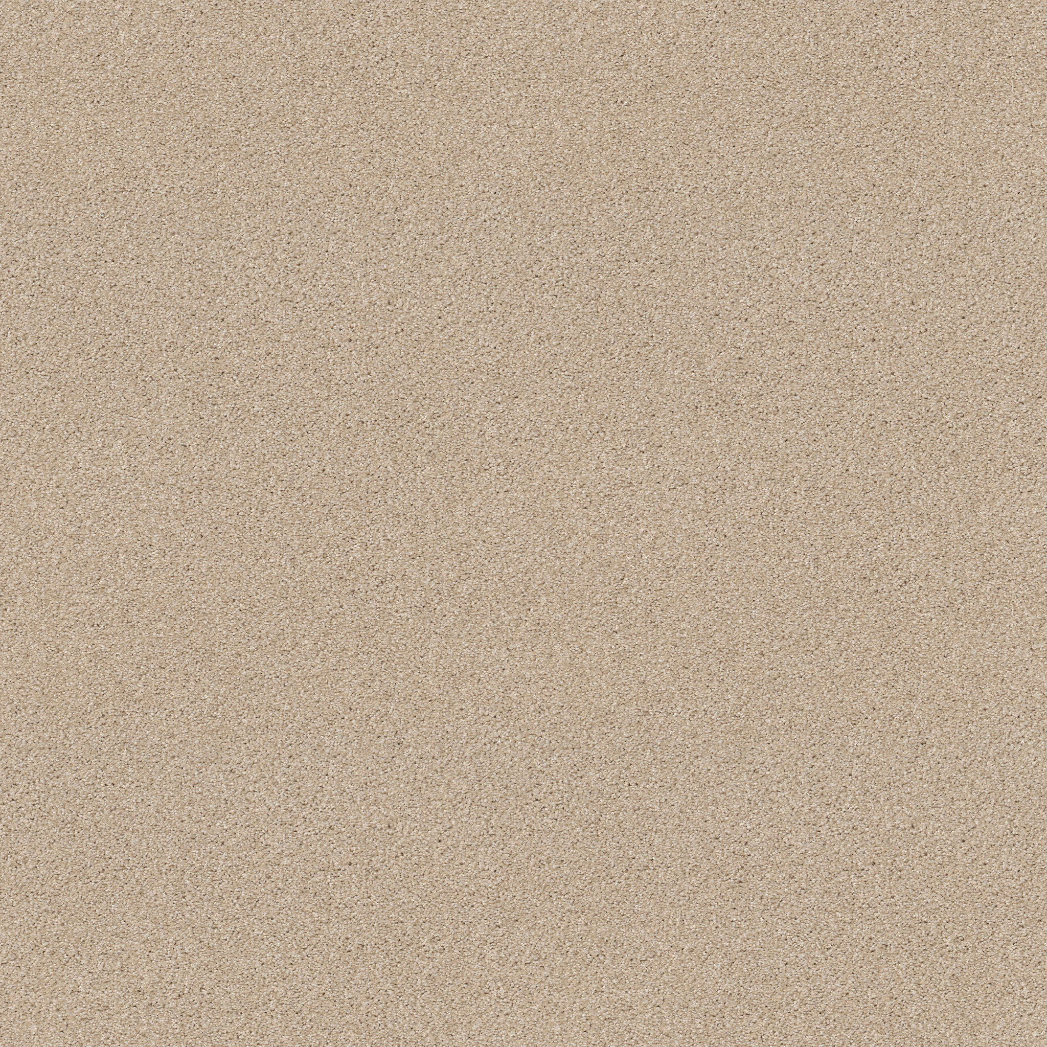 ALWAYS READY I BOUTIQUE MAIN