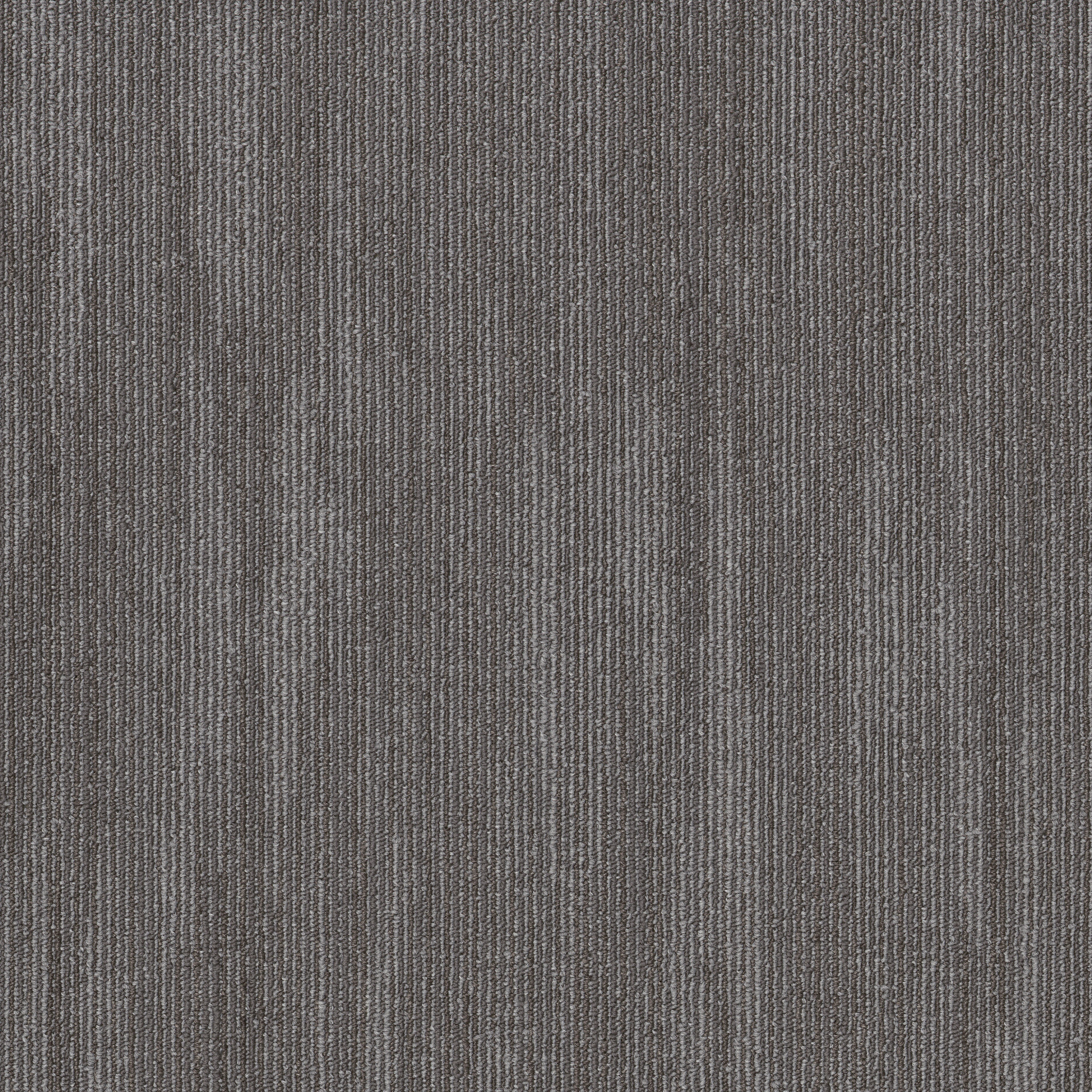 PRIMAL-54964-BELONGING-00500-main-image