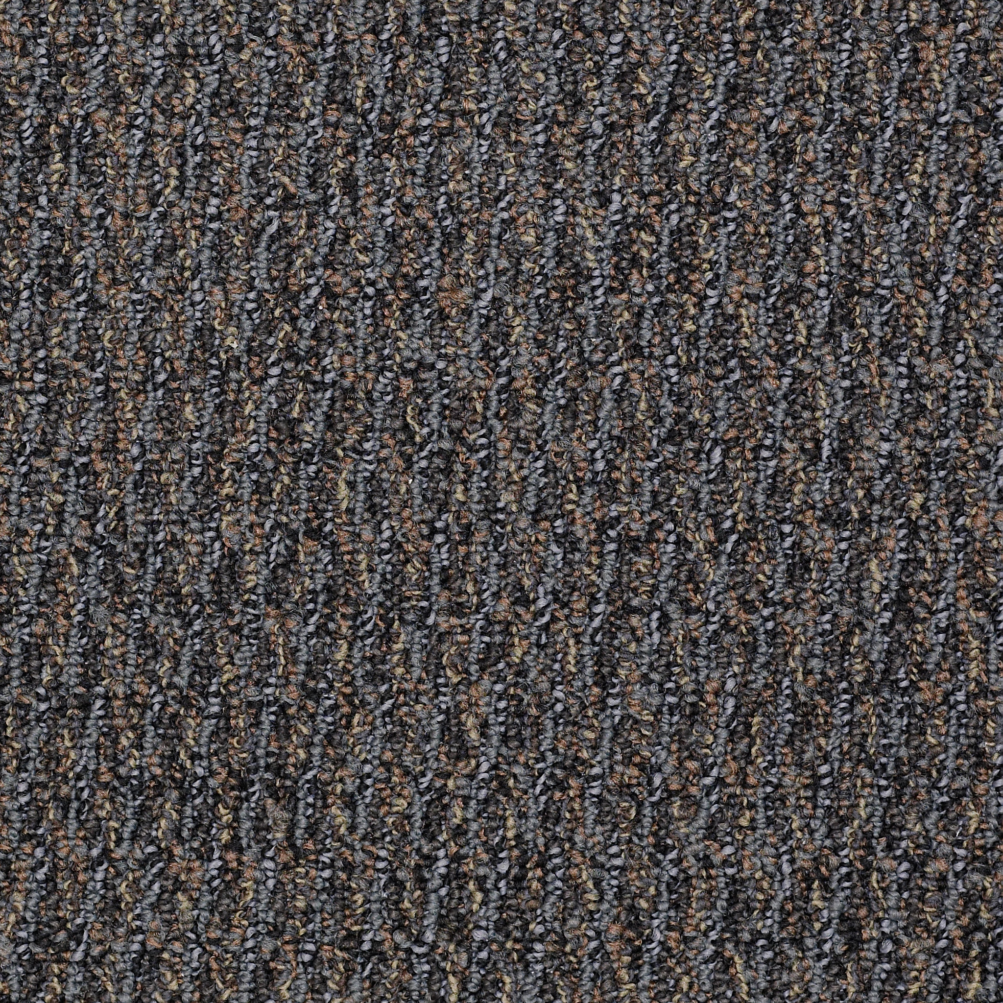 SPEAK-FREELY-54446-SIGNIFY-46501-main-image