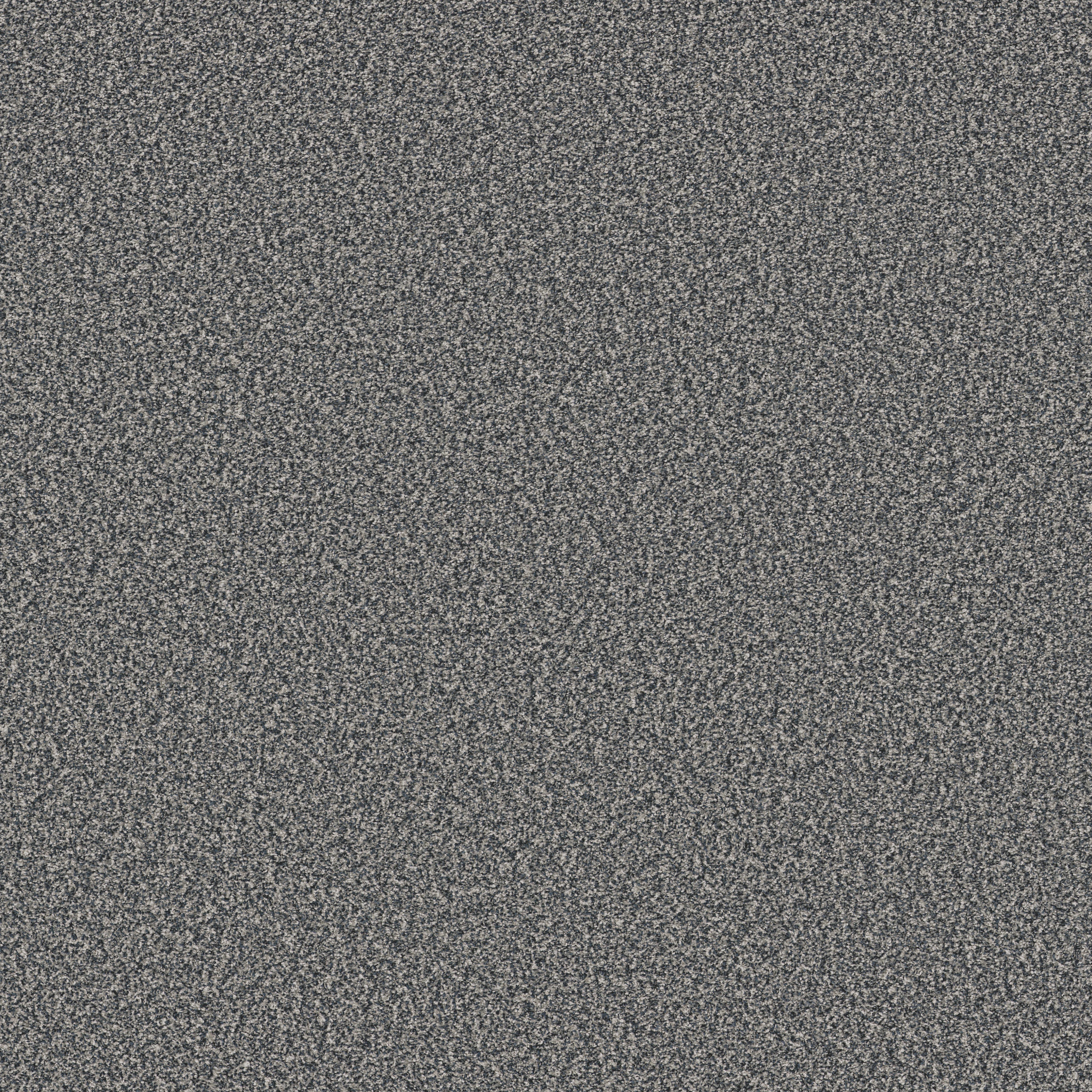 TWEED COMFORT I CAROLINA MAIN