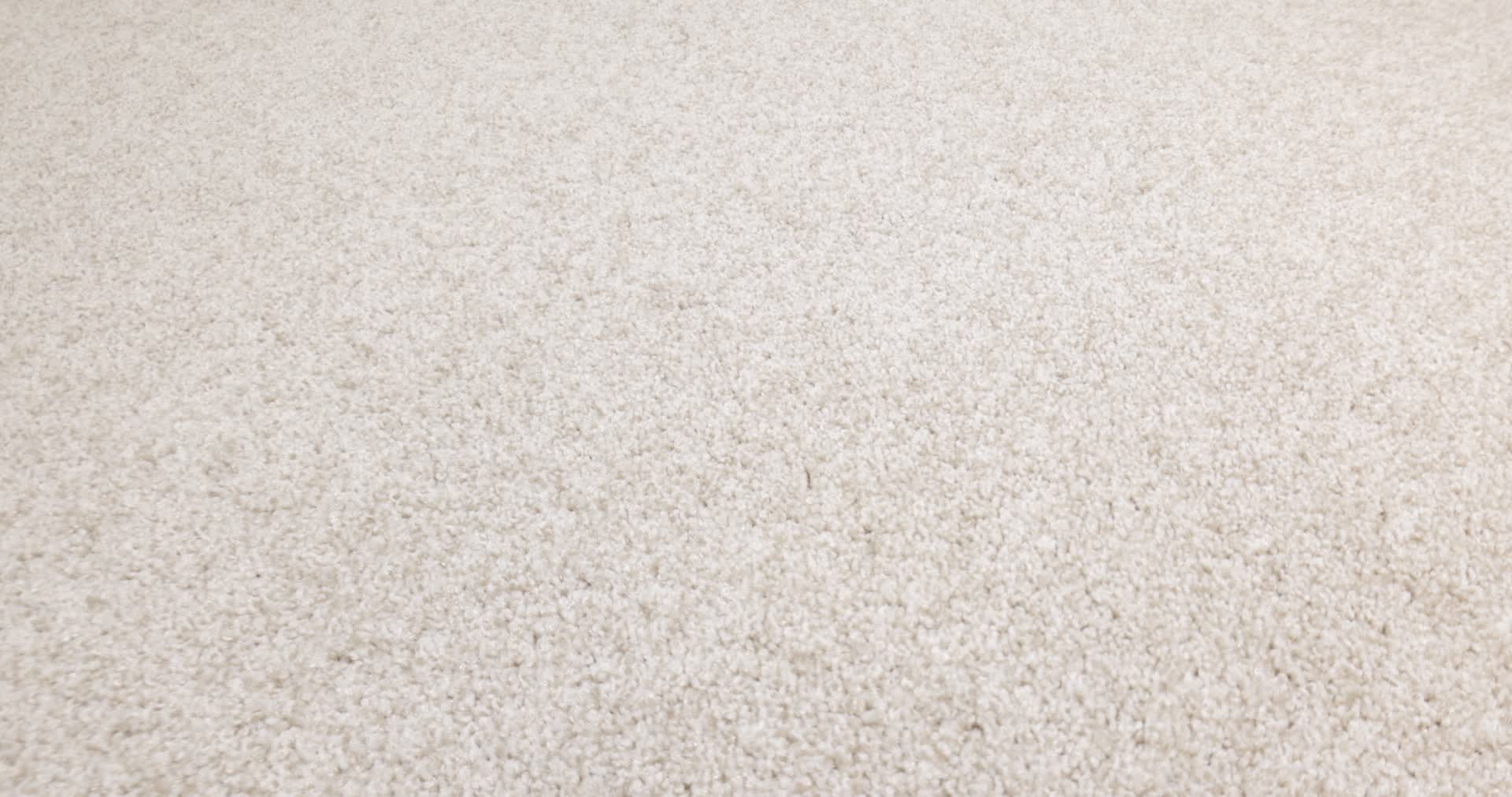 HARMONIOUS III CHAMPAGNE TOAST 360PROD