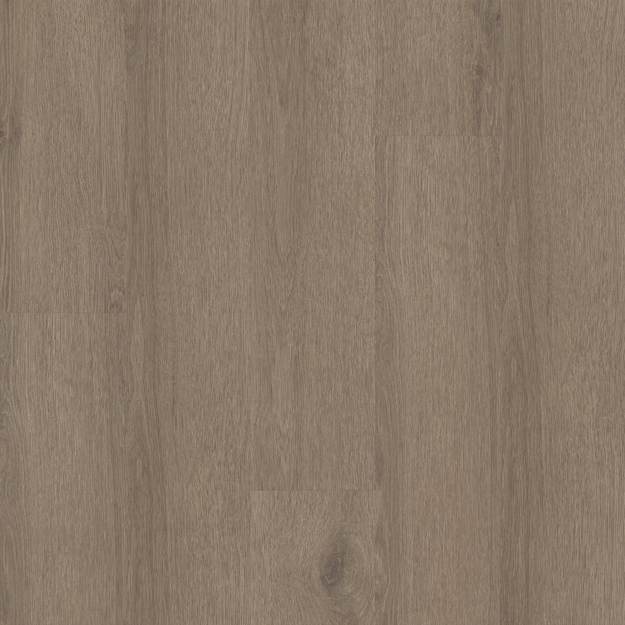 NATURAL BEGINNINGS SPC SMOKY TAUPE MAIN