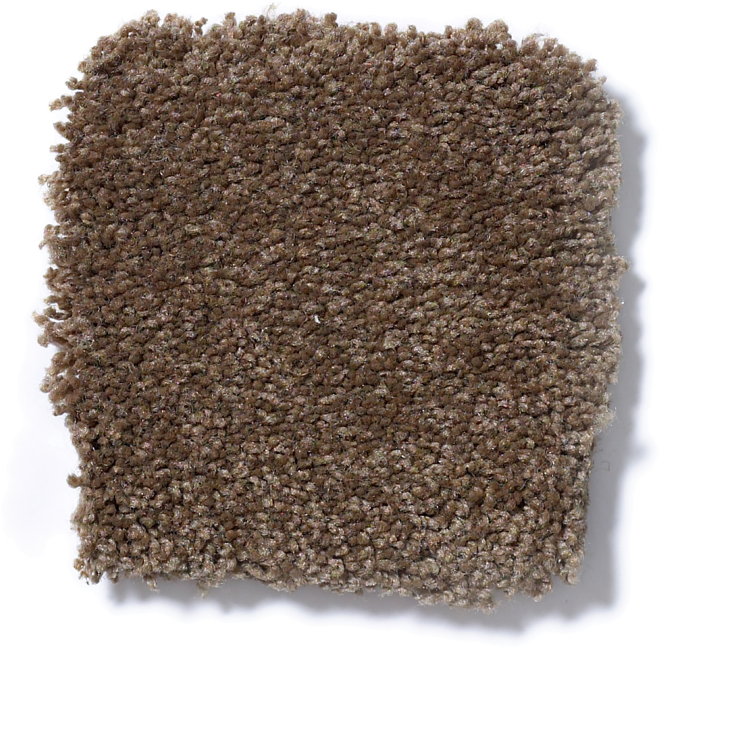 SANDY HOLLOW CLASSIC IV 12' PINE CONE SWATCH