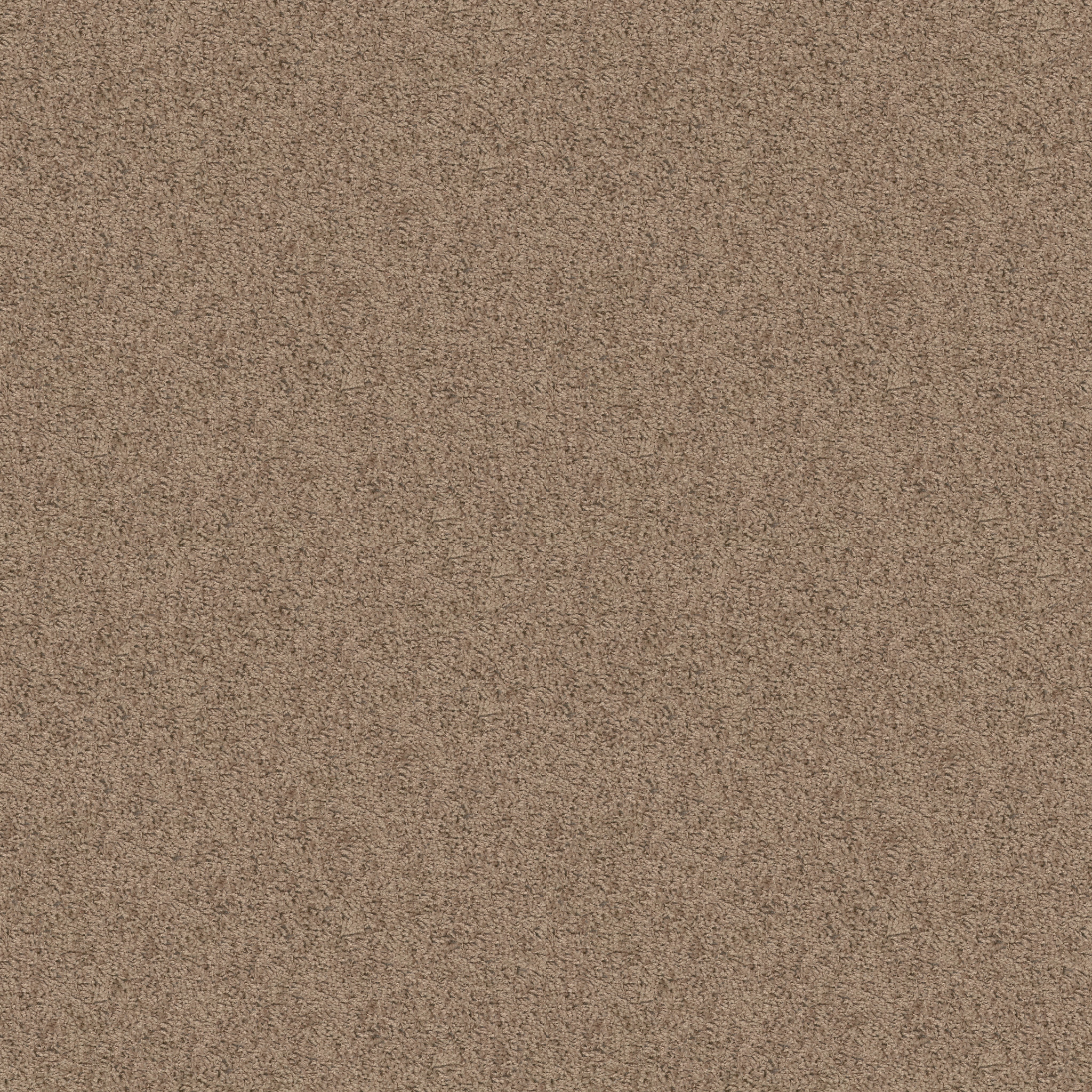 EXPECT MORE (S) SAHARA BUFF MAIN