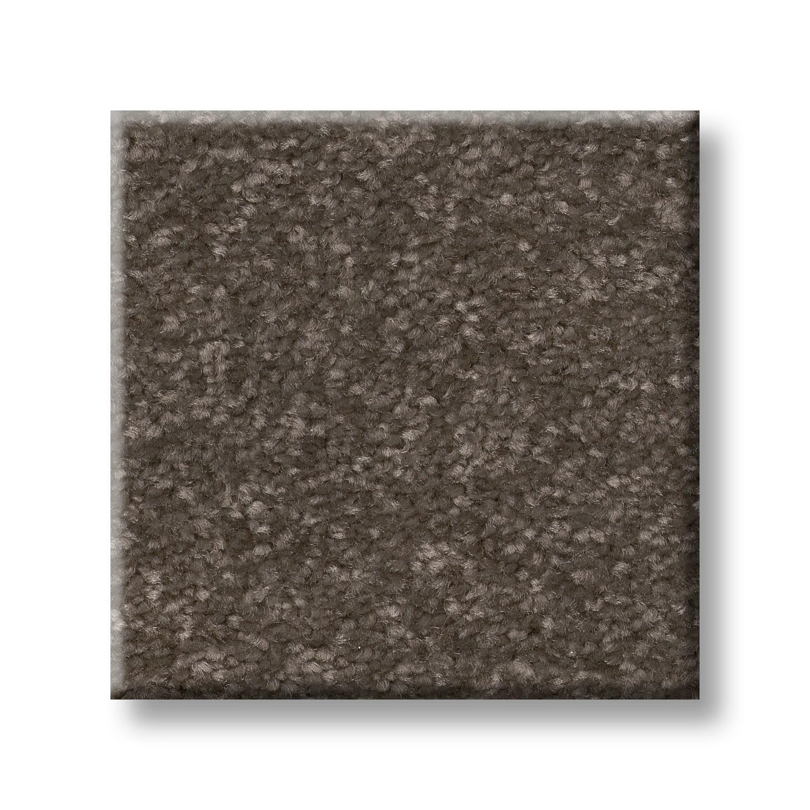 HARD AT PLAY II 12' URBAN RUSTIC SWATCH