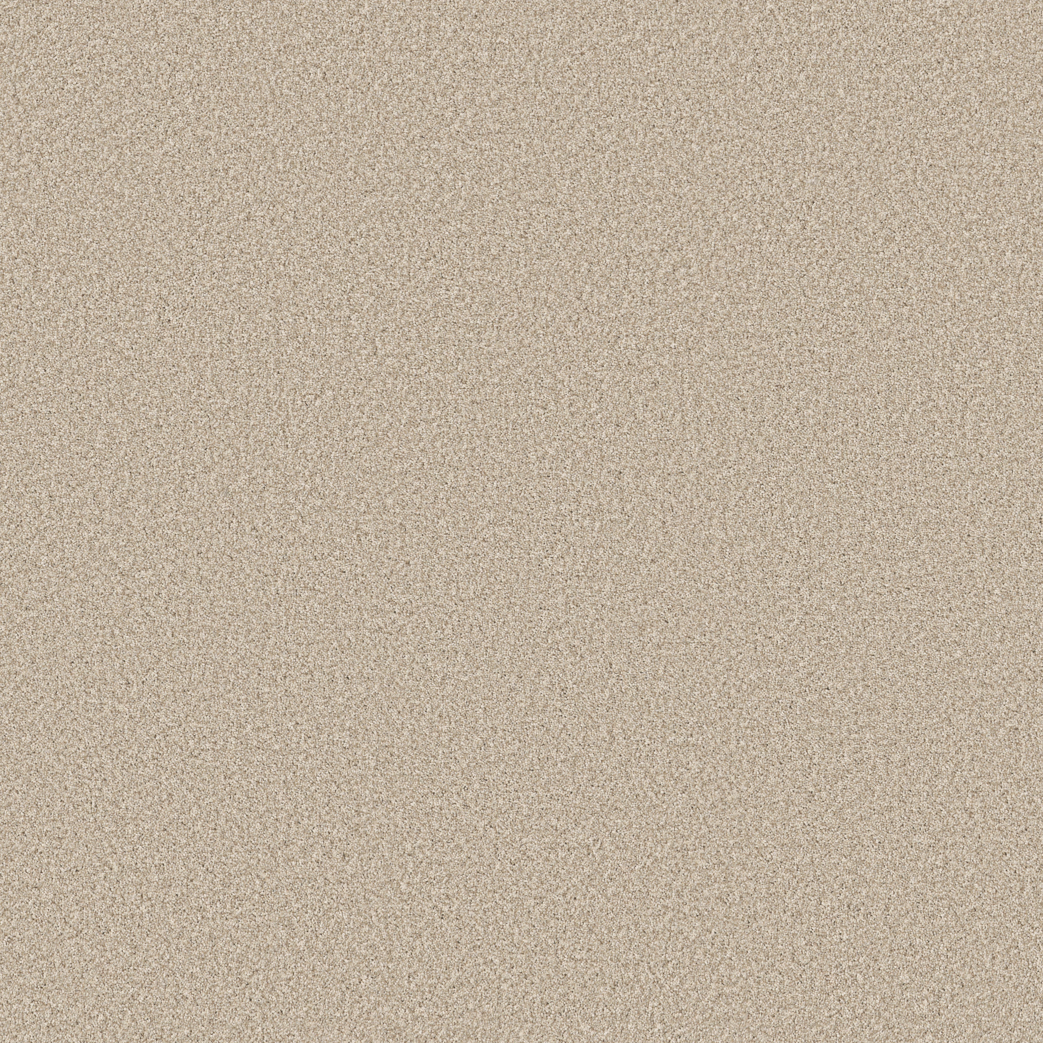 AVALON BAY WINDSWEPT MAIN