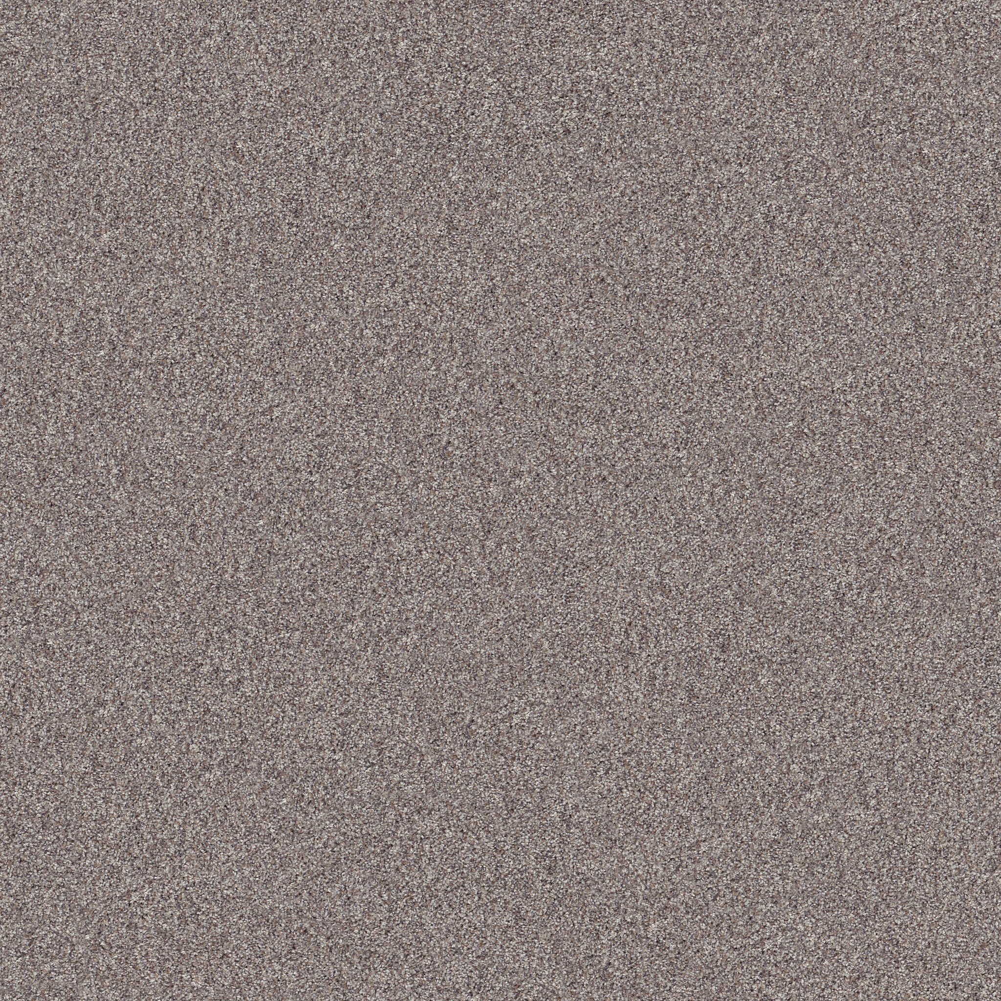 INLET SHORE II 15' FRENCH BUFF MAIN