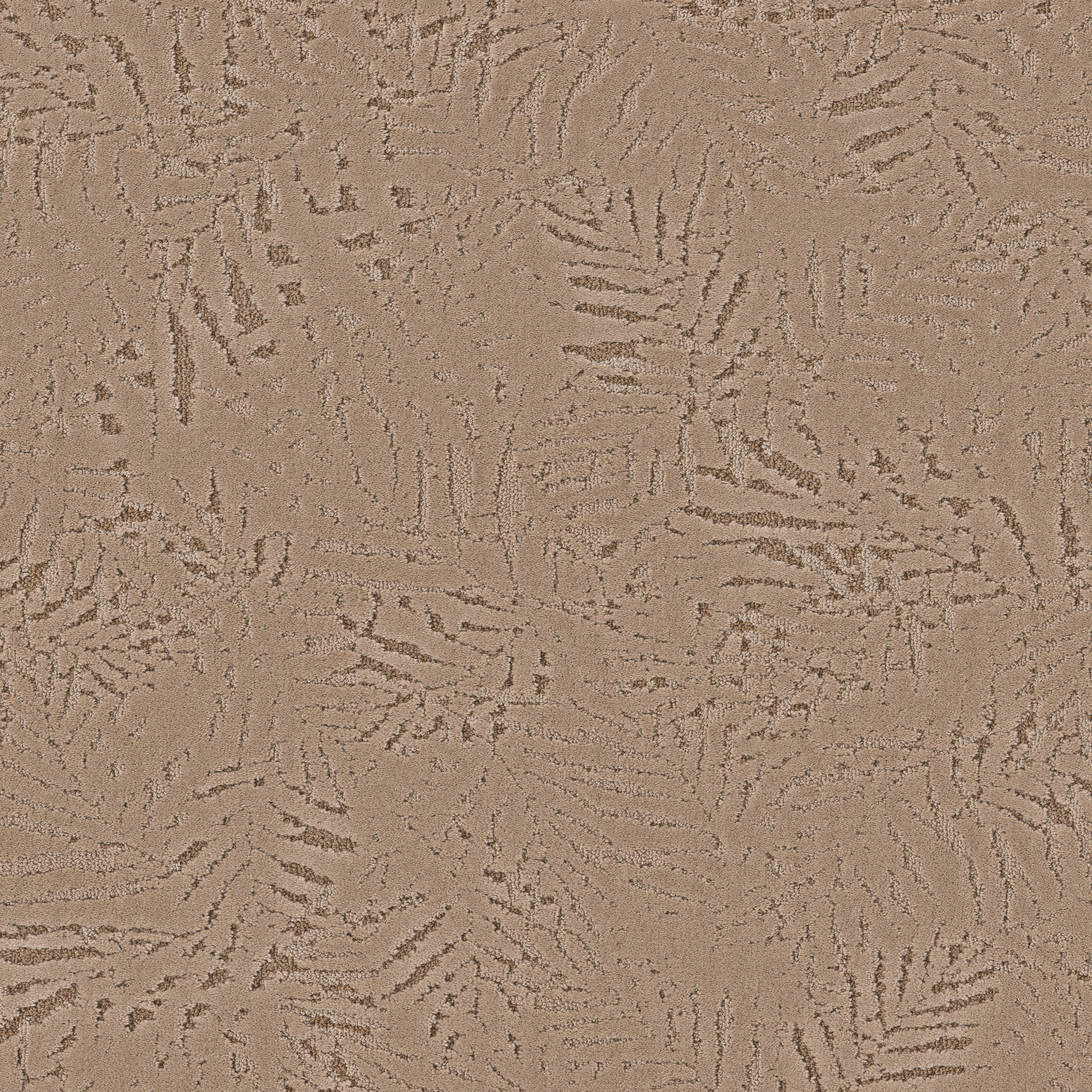 AUTOGRAPH NIGHT CAP MAIN