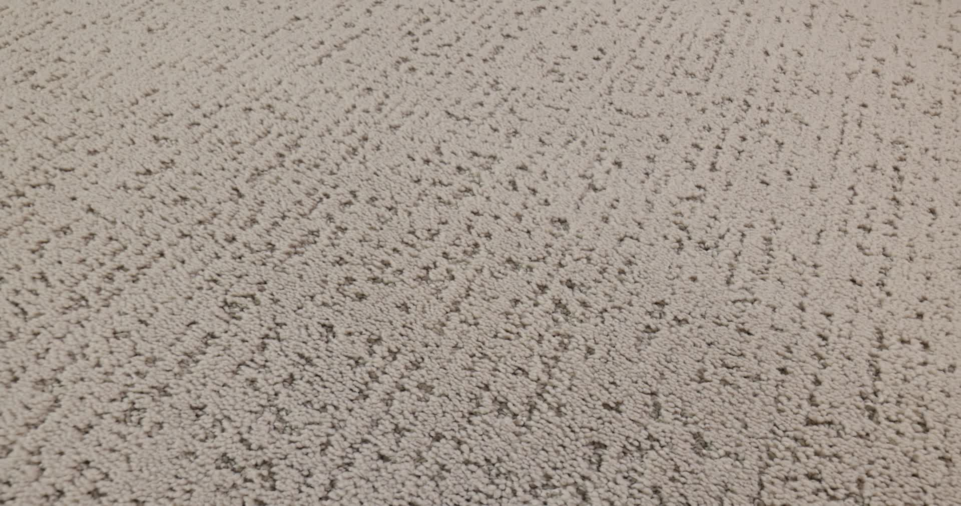 CURATED TONE COOL WINTER 360PROD