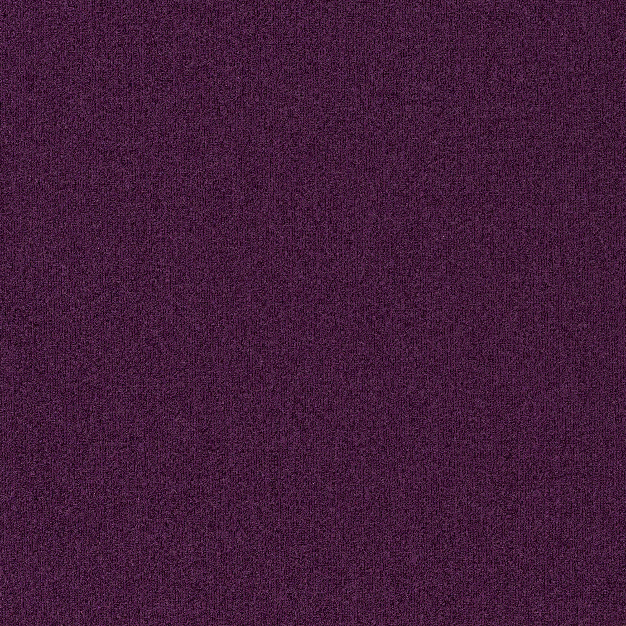 COLOR-ACCENTS-54462-PURPLE-62901-main-image