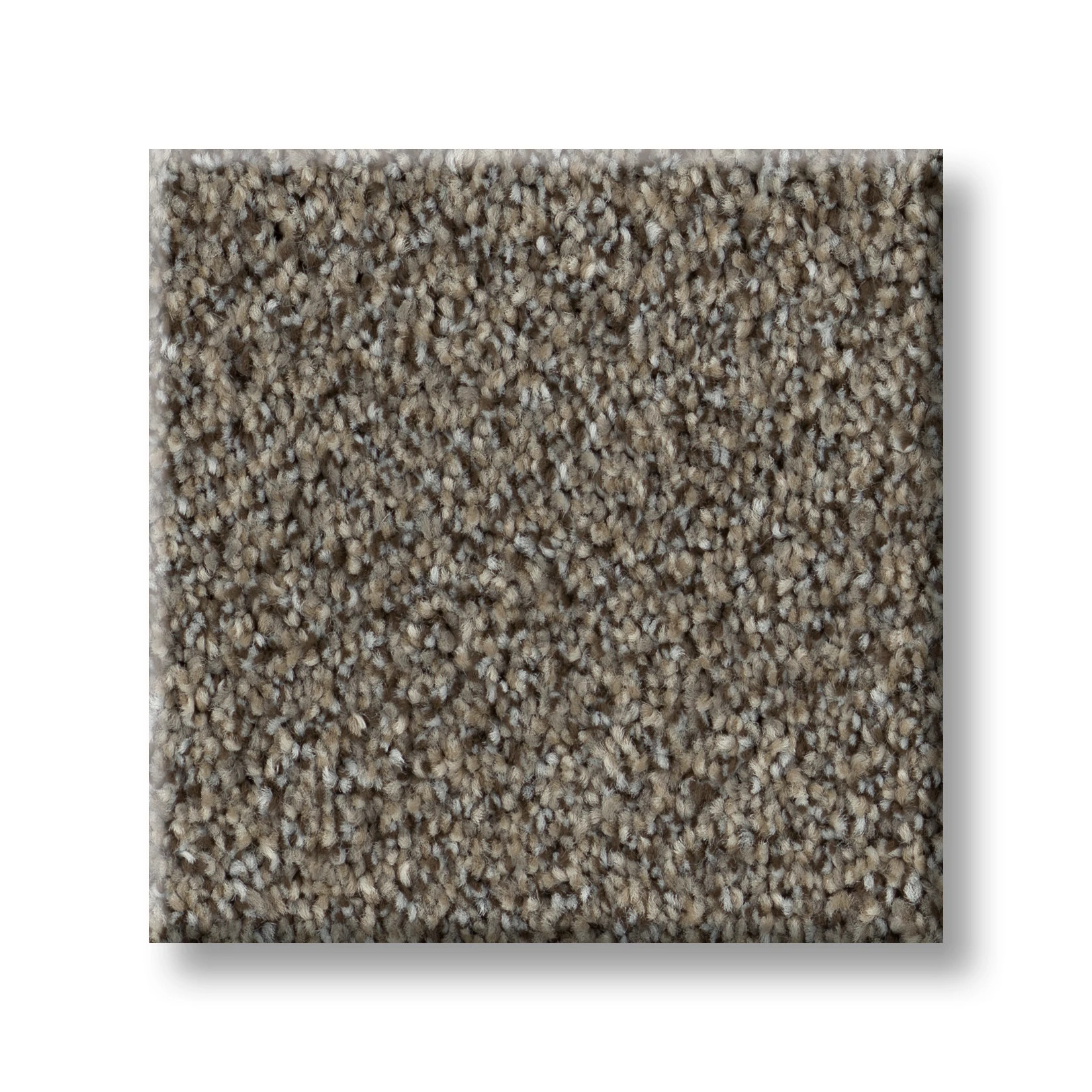 GAME CHANGING II SPICE SWATCH