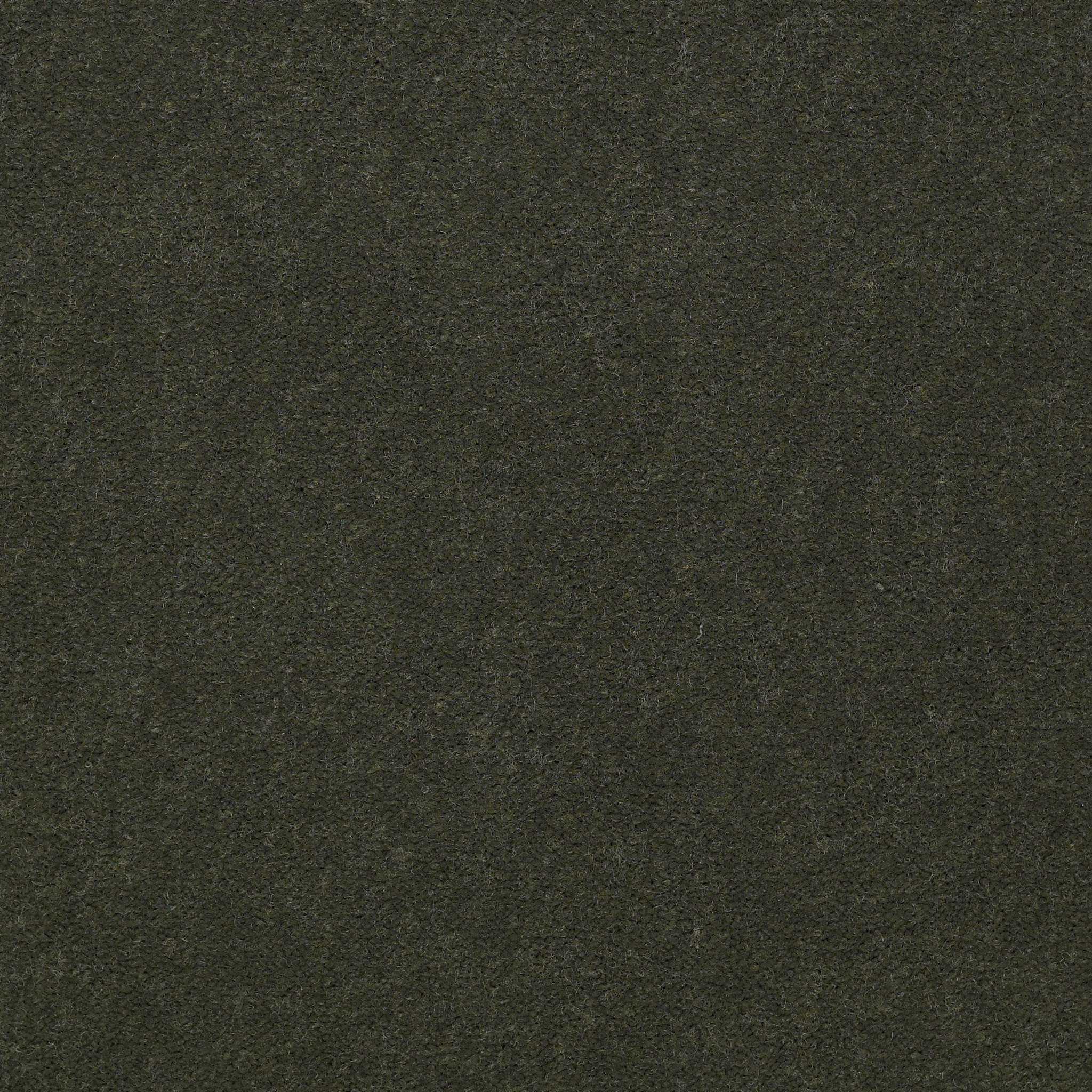 EMPHATIC-II-30-54255-THYME-56314-main-image